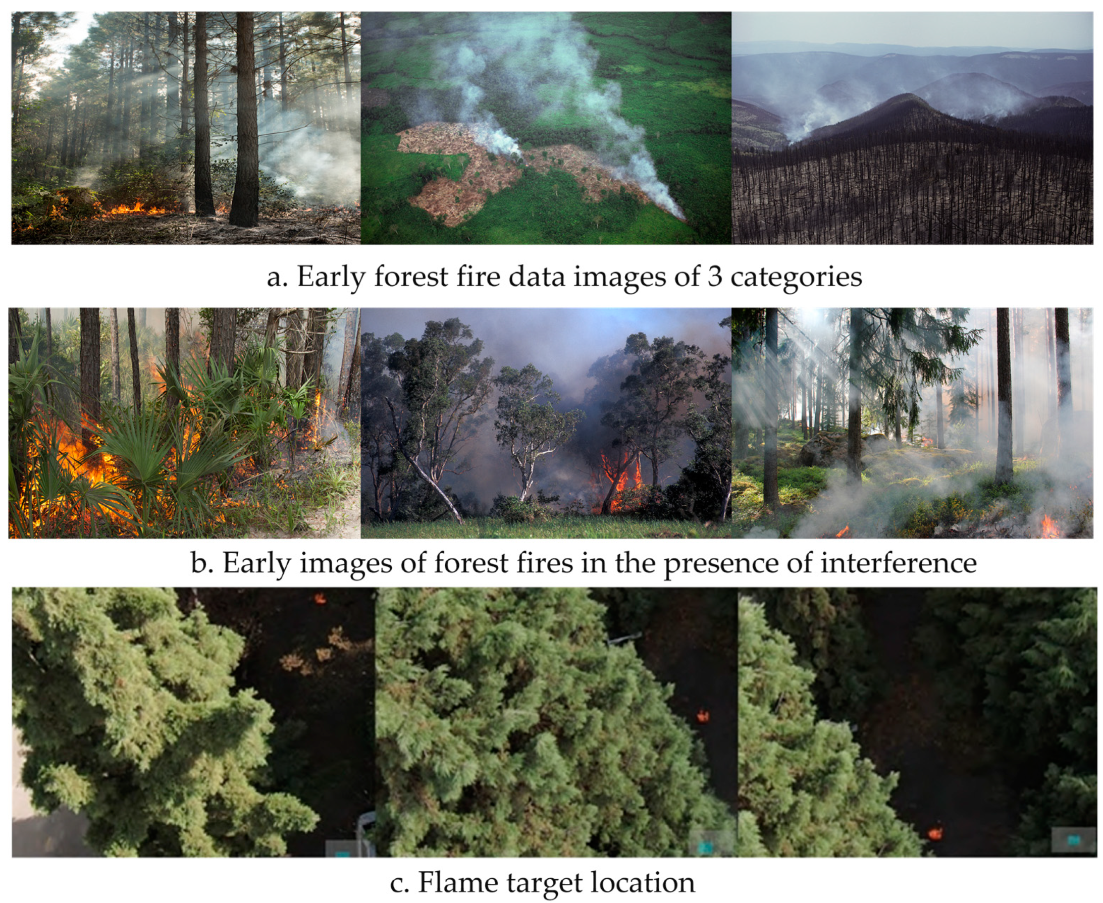 Forests 16 00743 g001