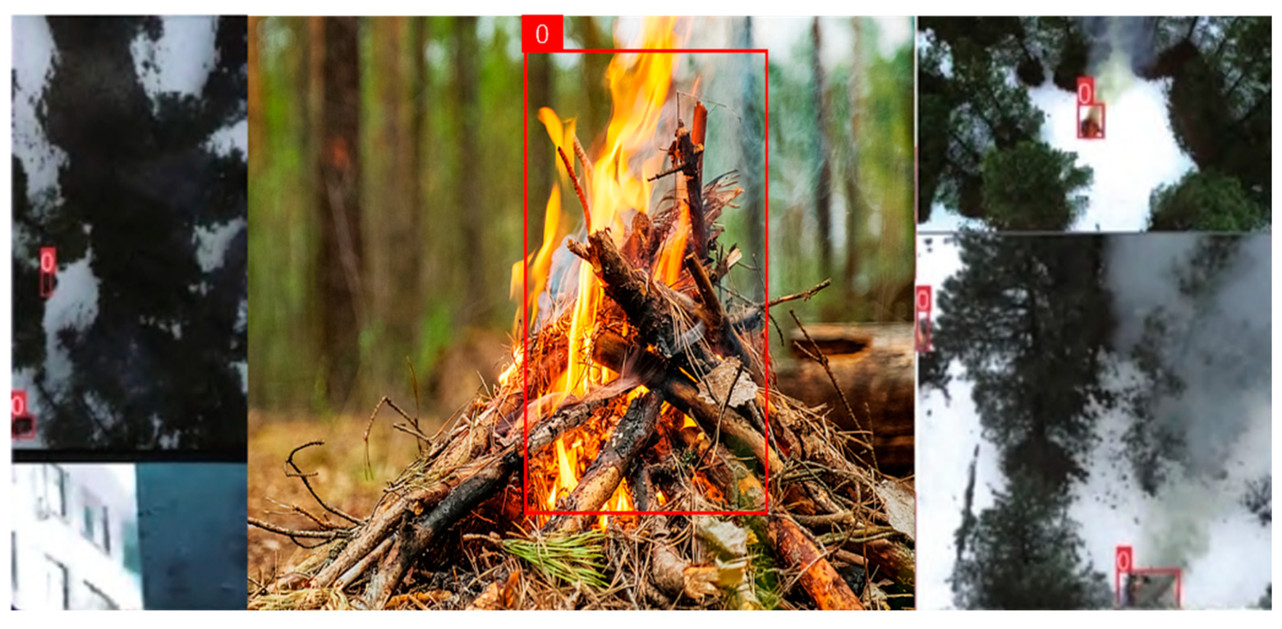 Forests 16 00743 g002