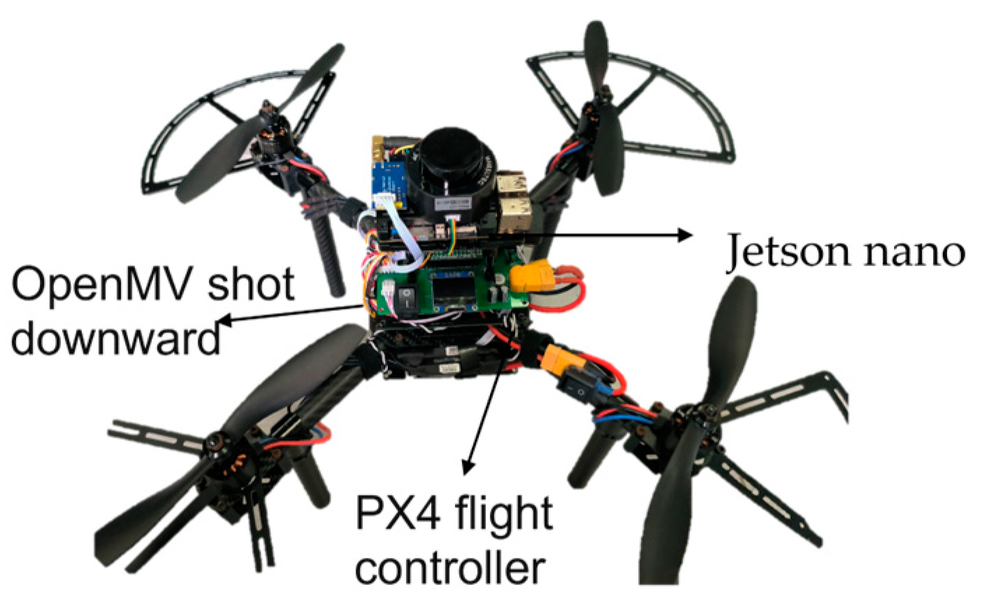 Forests 16 00743 g012