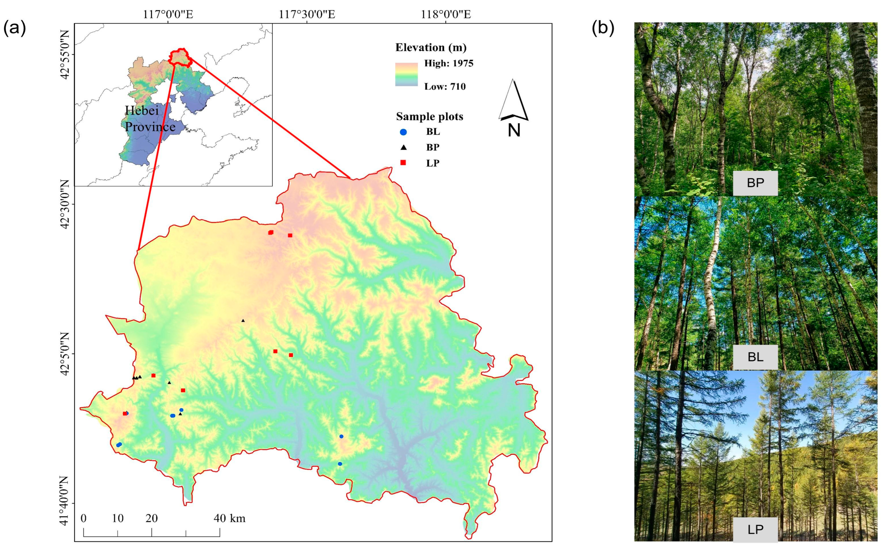 Forests 16 00745 g002
