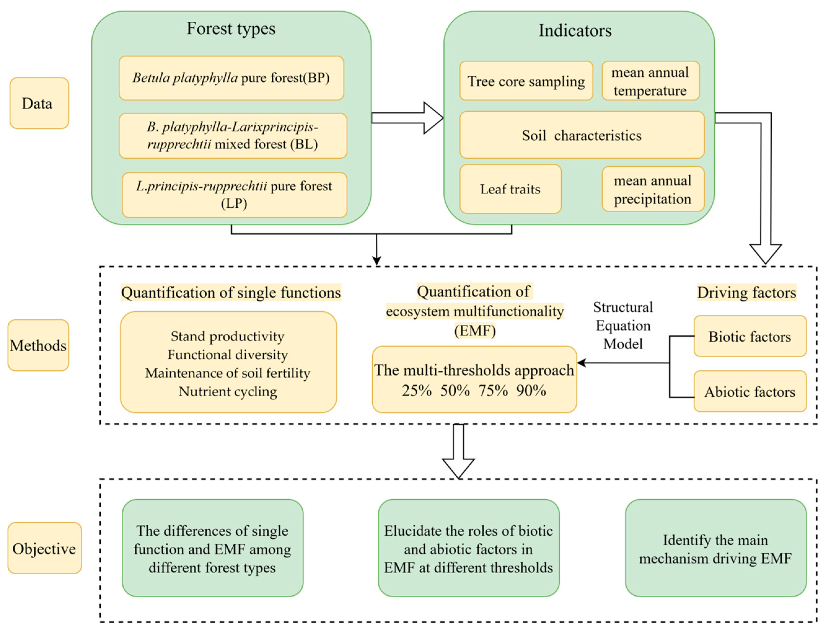 Forests 16 00745 g003