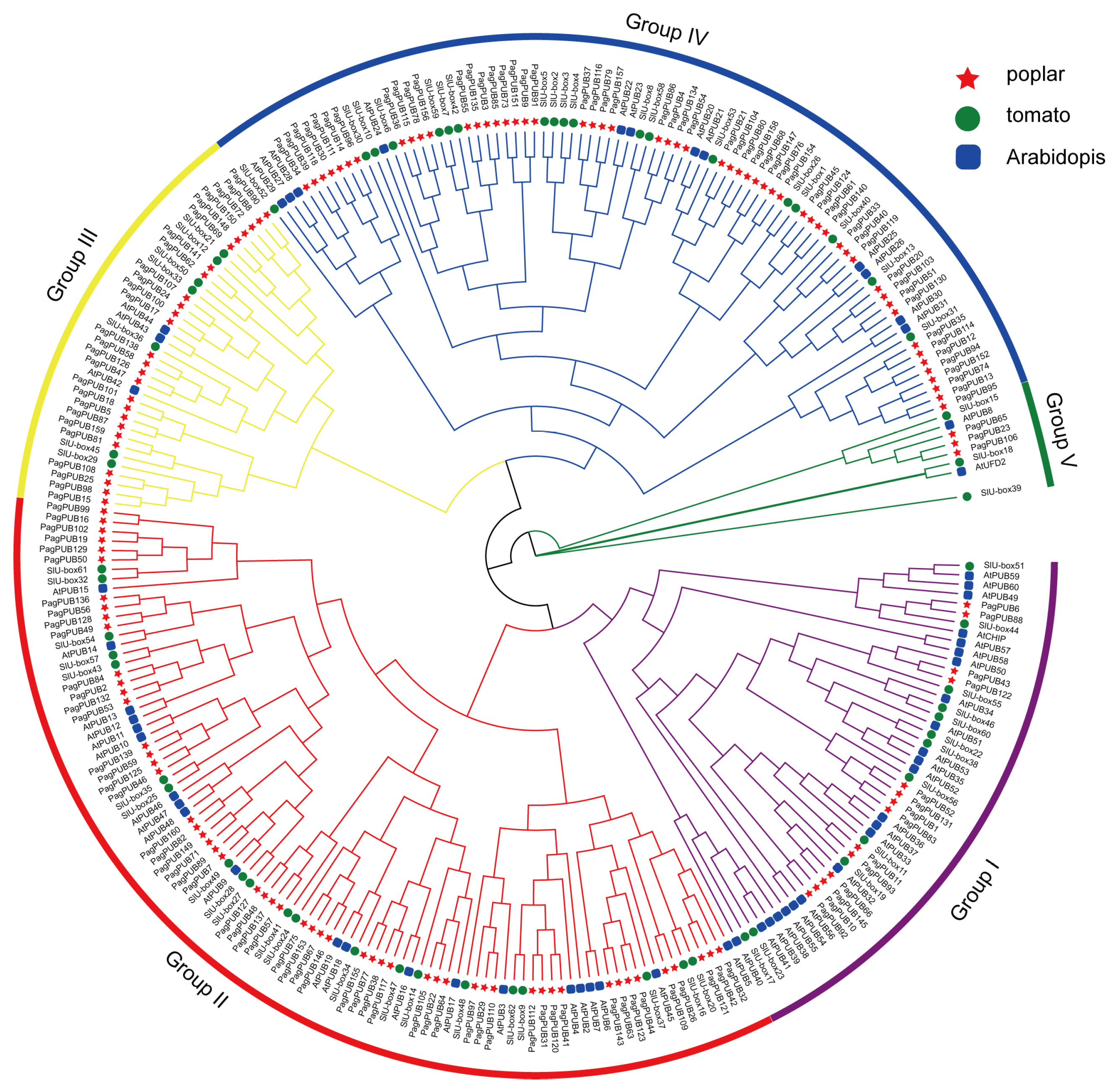 Forests 16 00749 g002