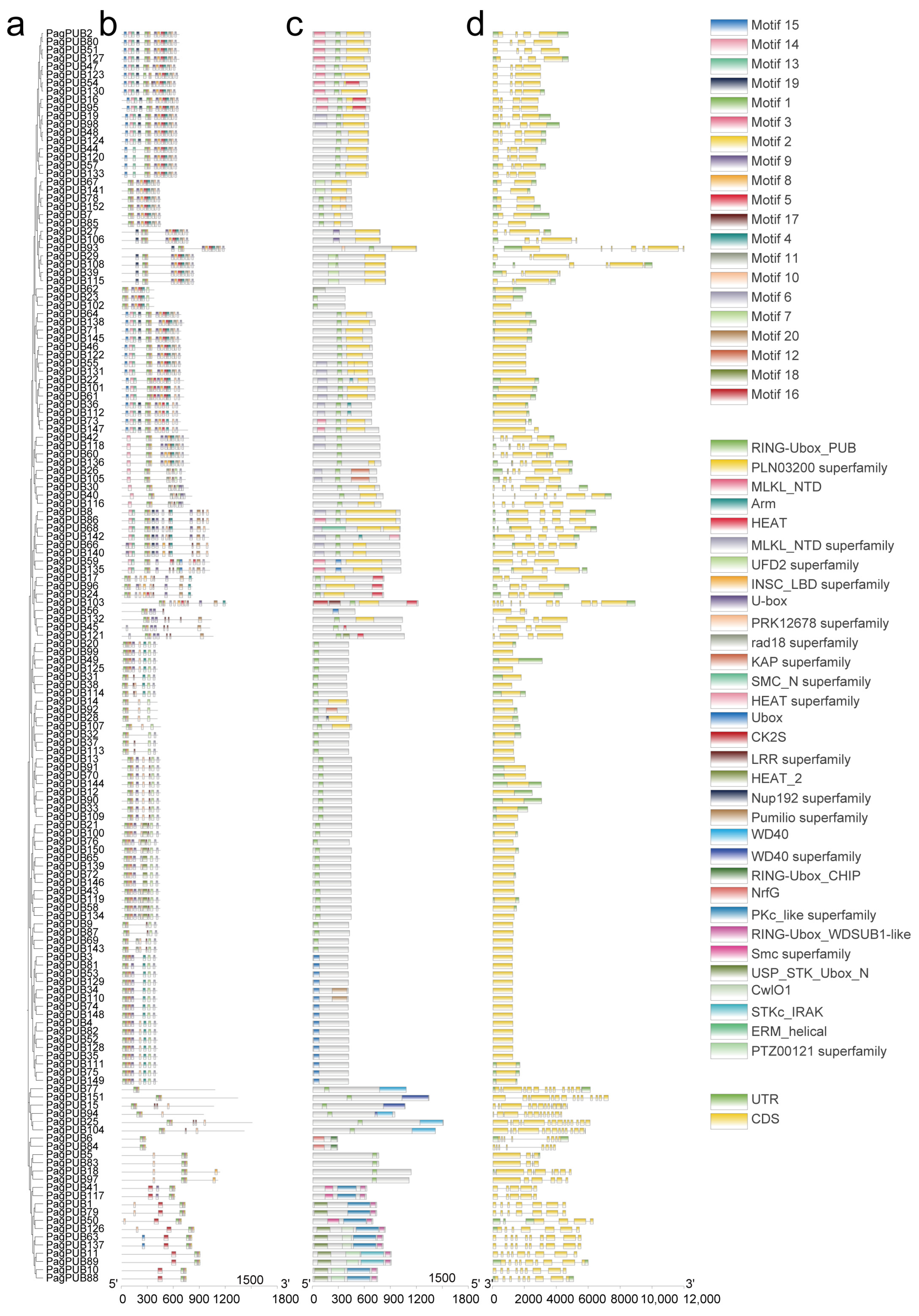 Forests 16 00749 g003