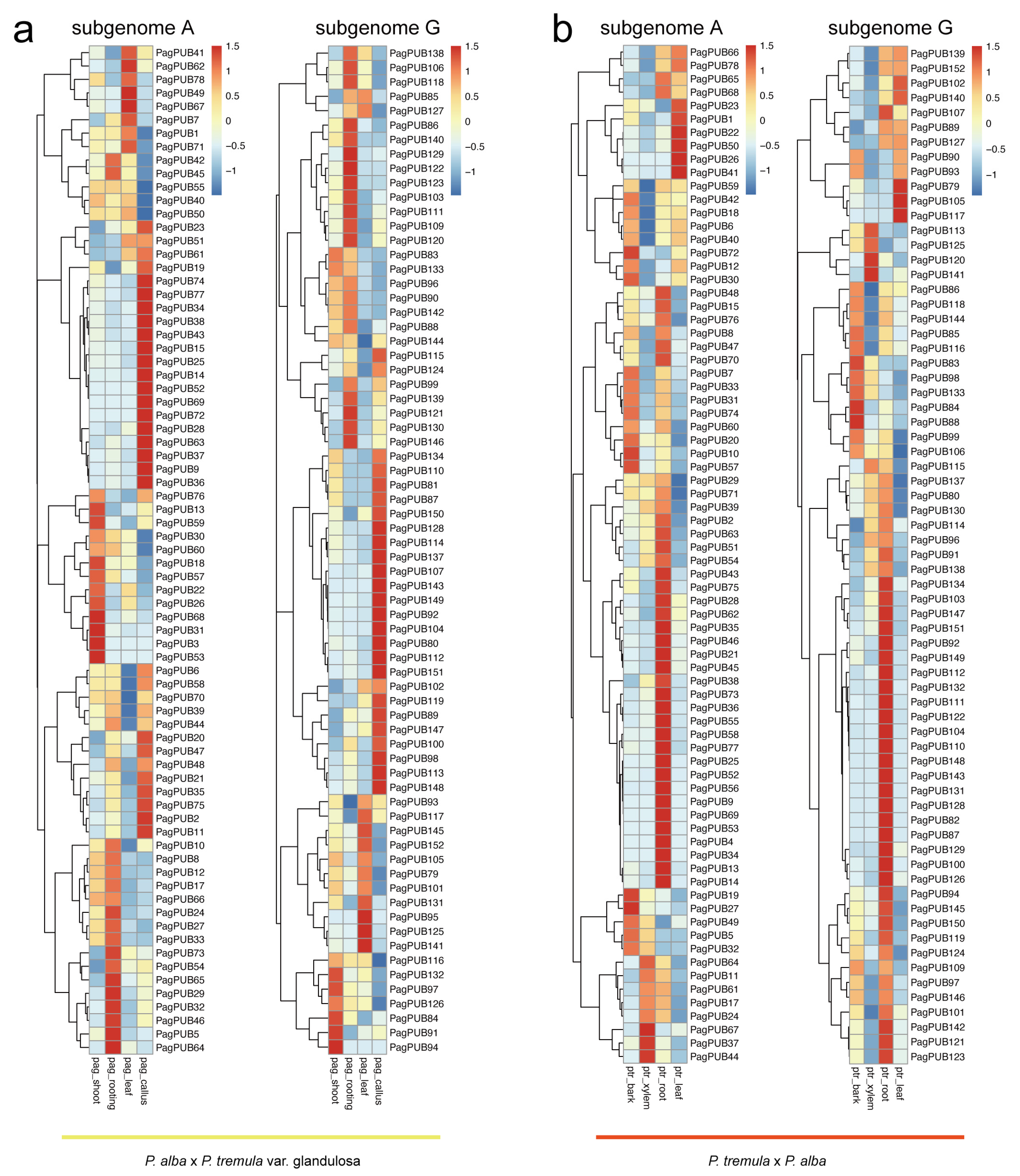 Forests 16 00749 g006