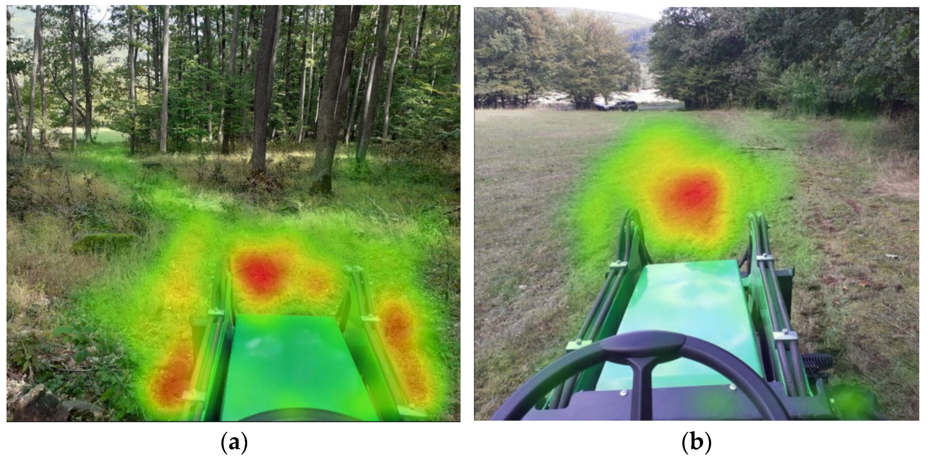 Forests 16 00753 g010