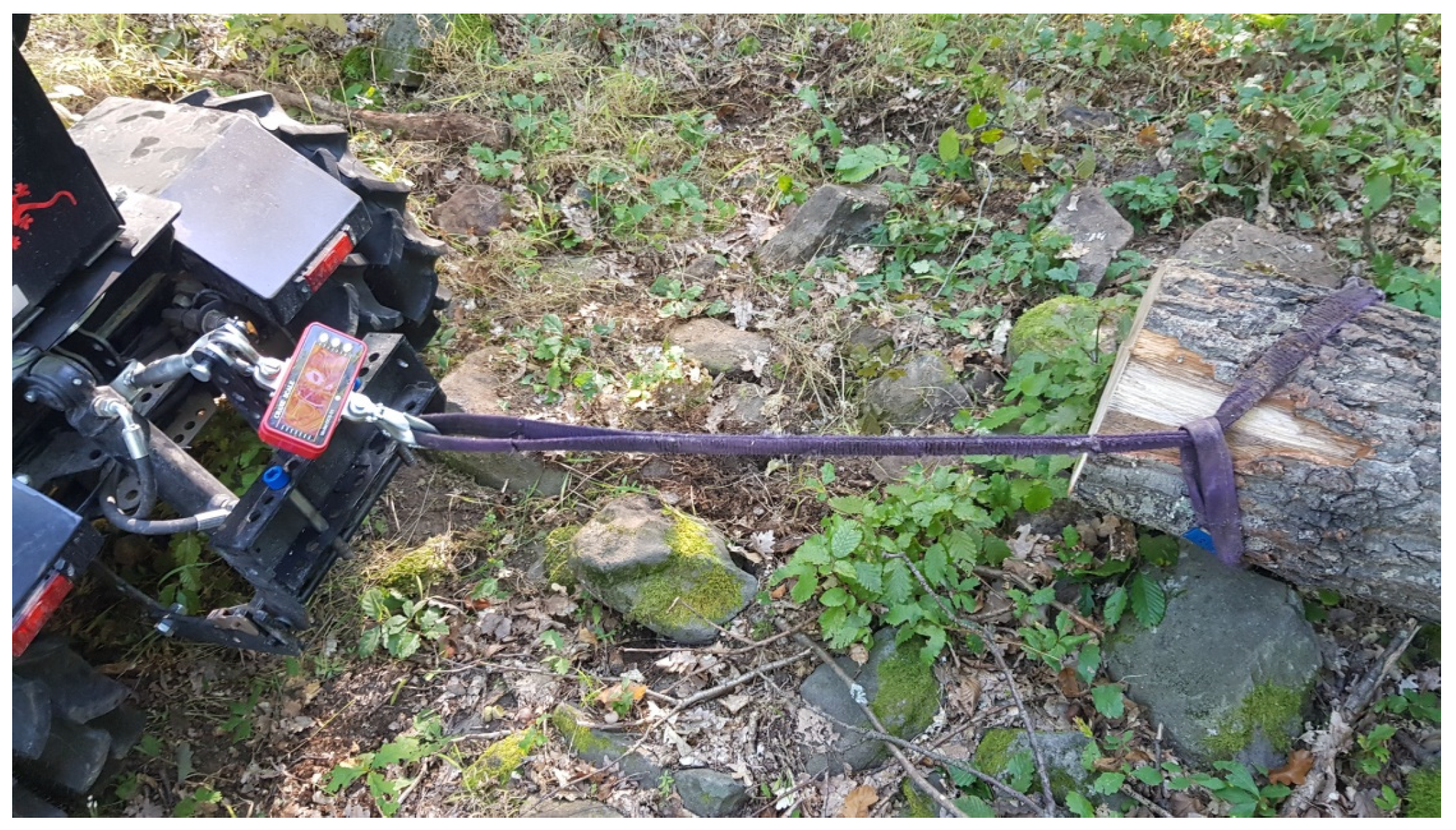 Forests 16 00753 g011