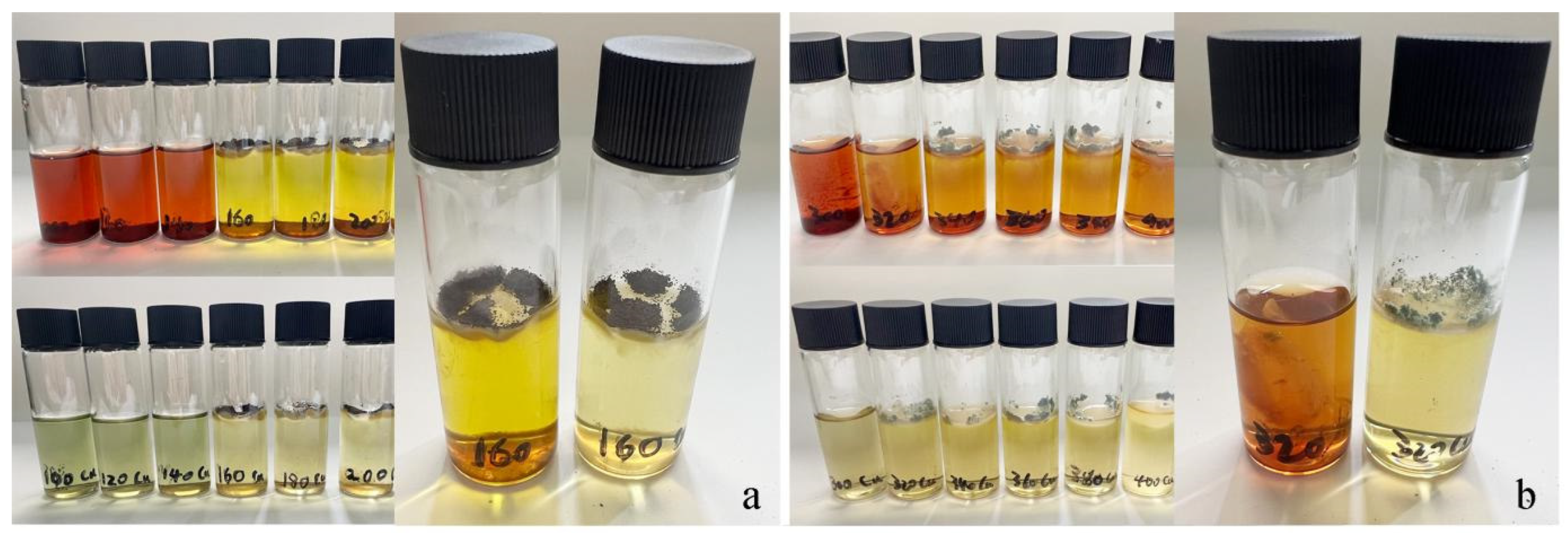 Forests 16 00755 g003