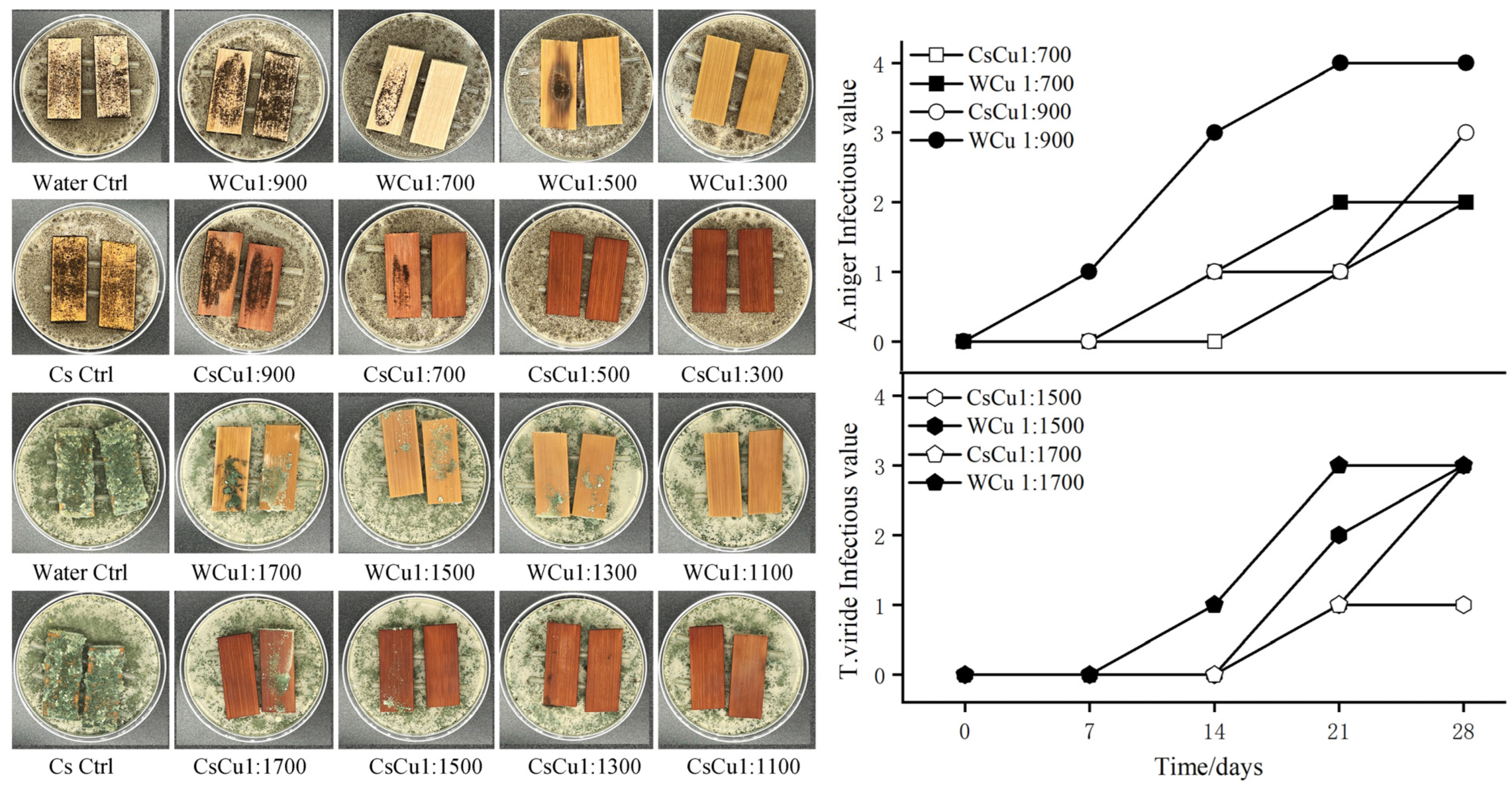 Forests 16 00755 g004