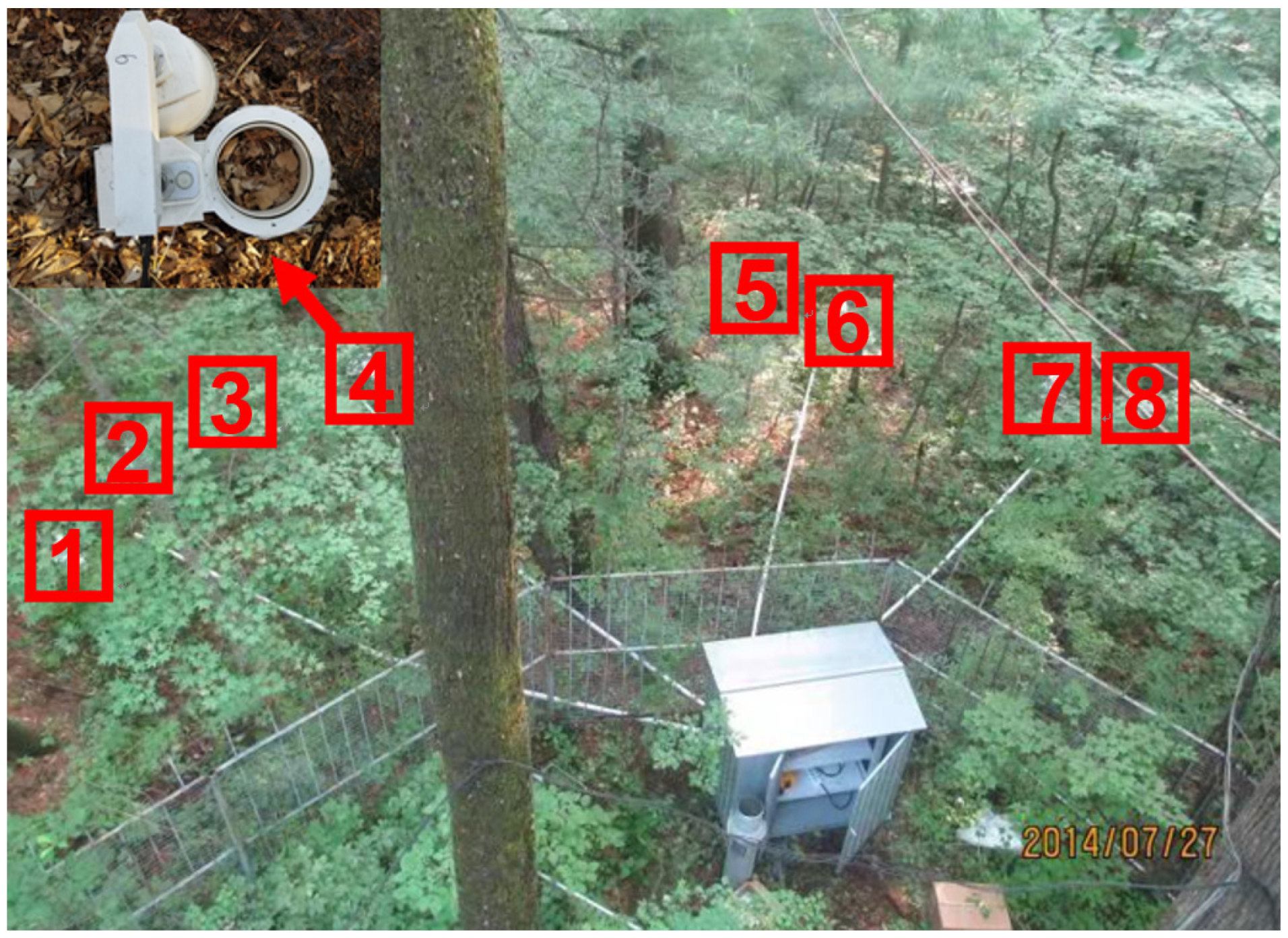 Forests 16 00766 g001