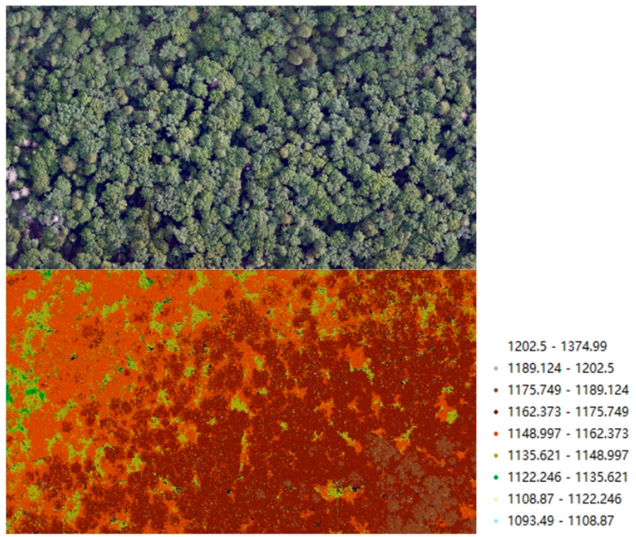 Forests 16 00768 g002