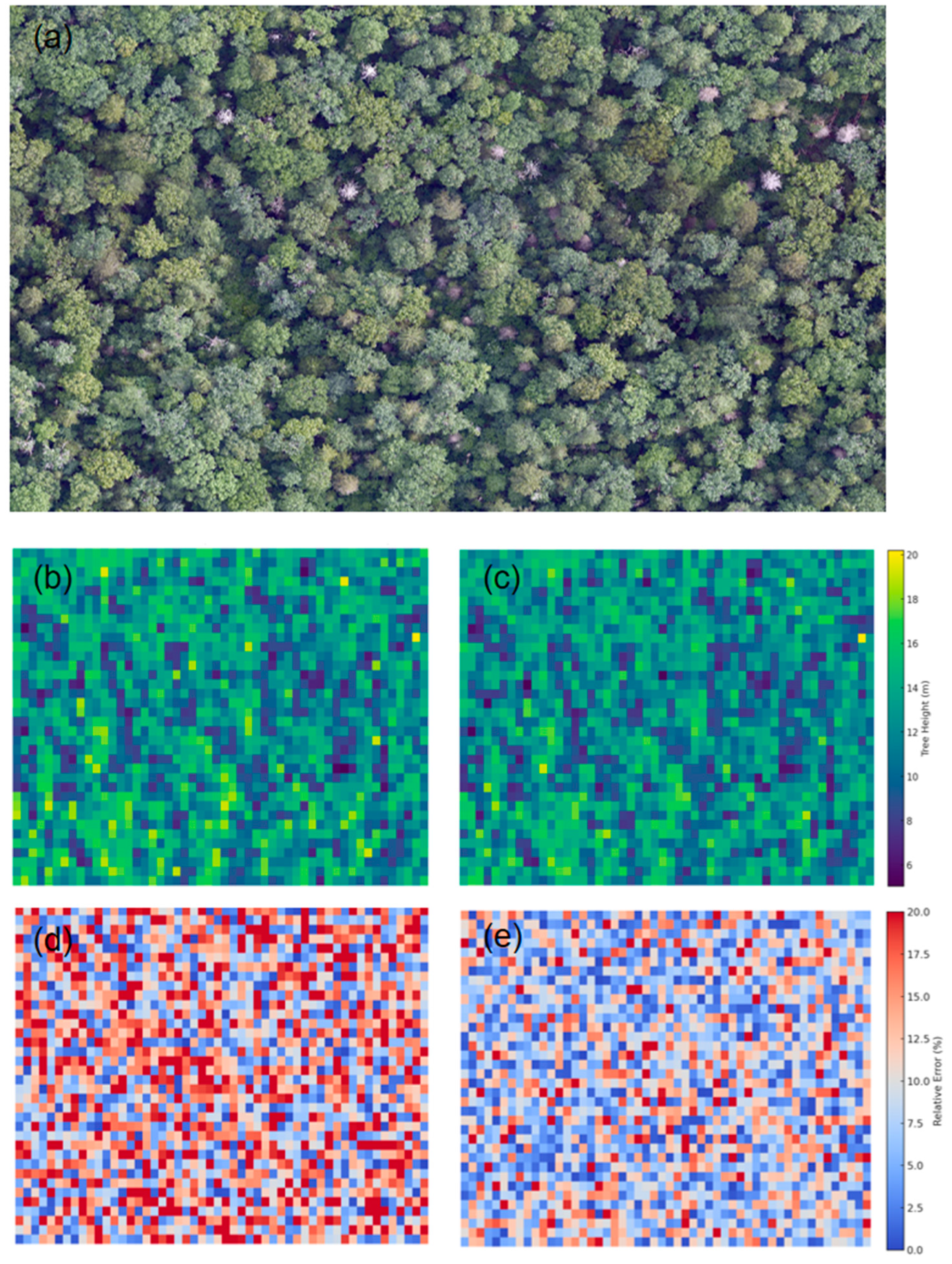 Forests 16 00768 g012