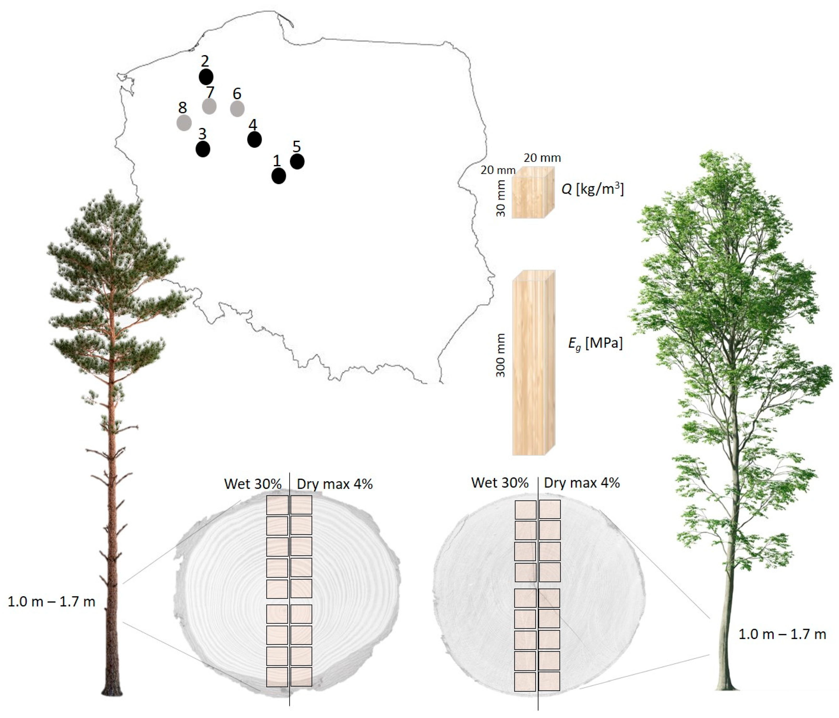 Forests 16 00772 g001