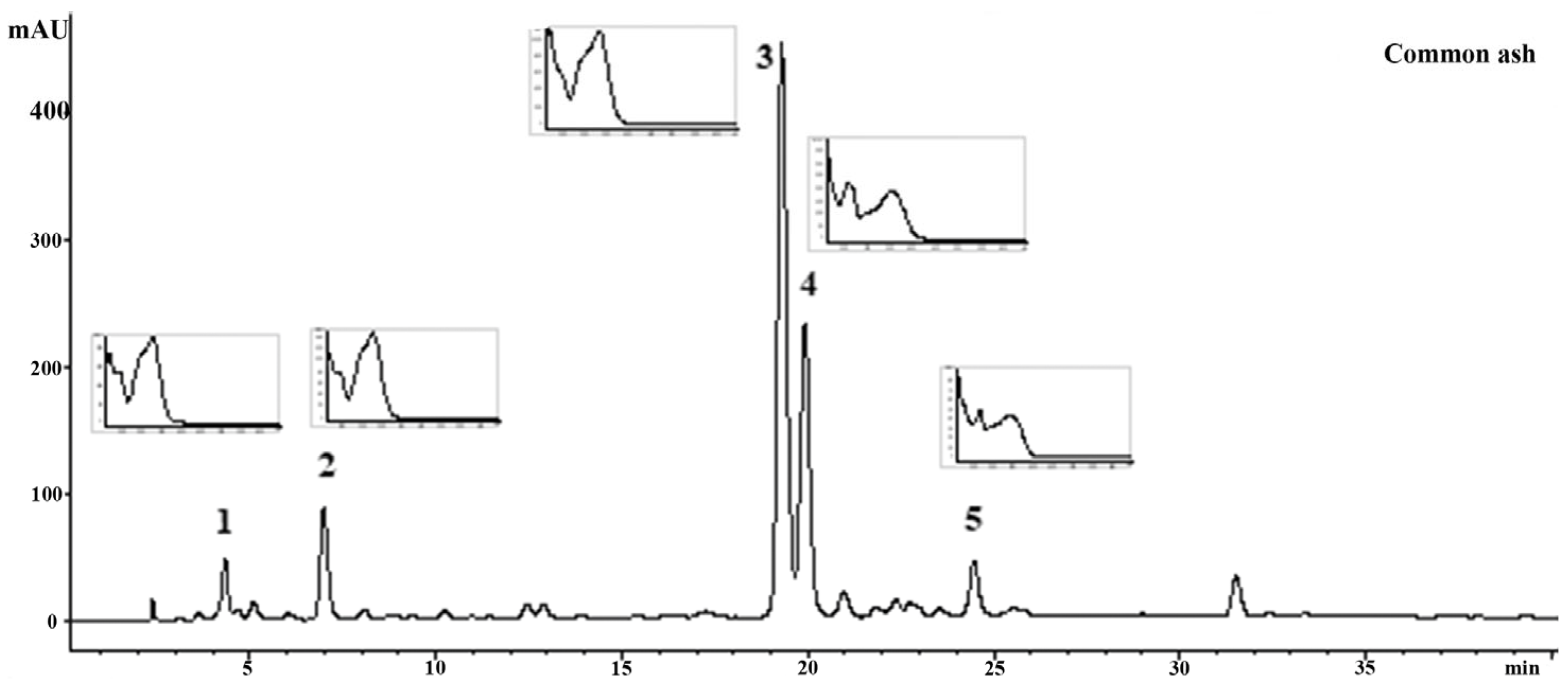 Forests 16 00774 g002