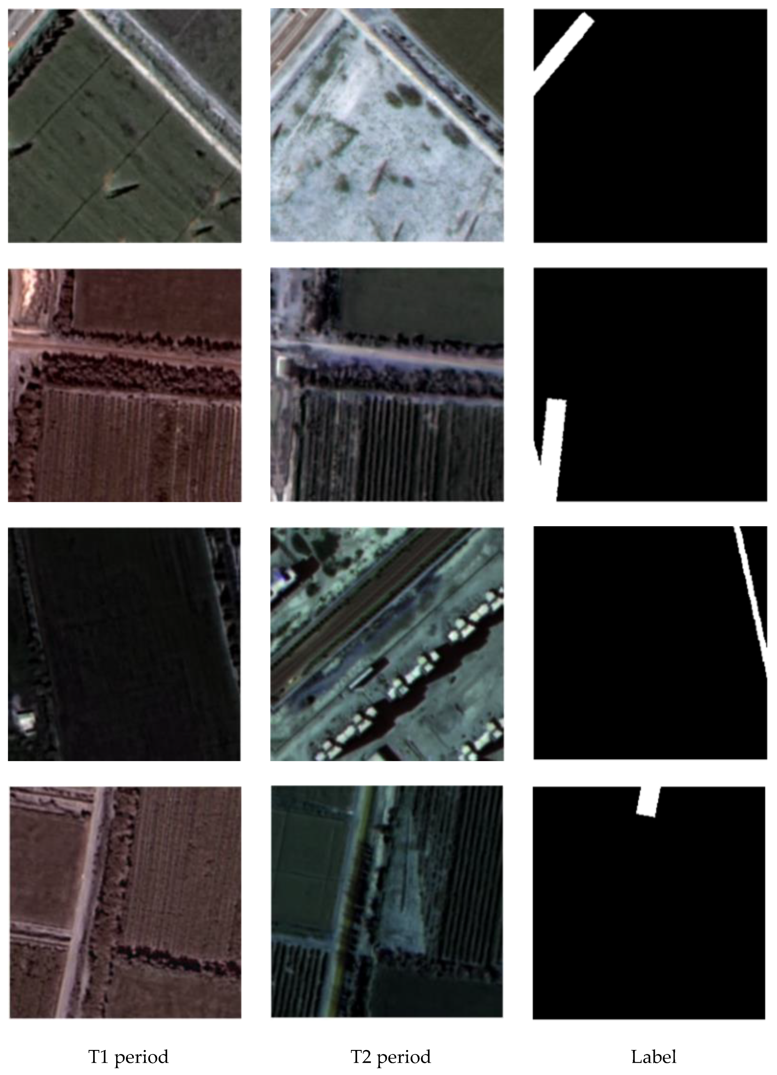 Forests 16 00775 g002