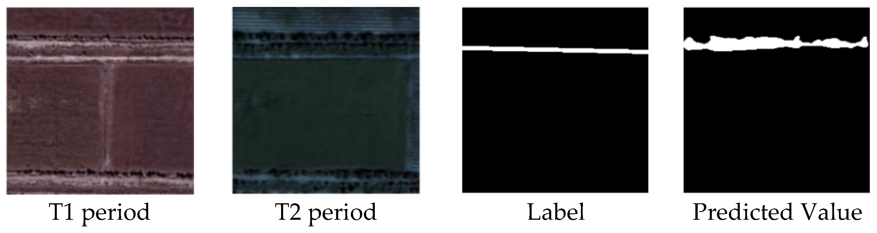 Forests 16 00775 g008b