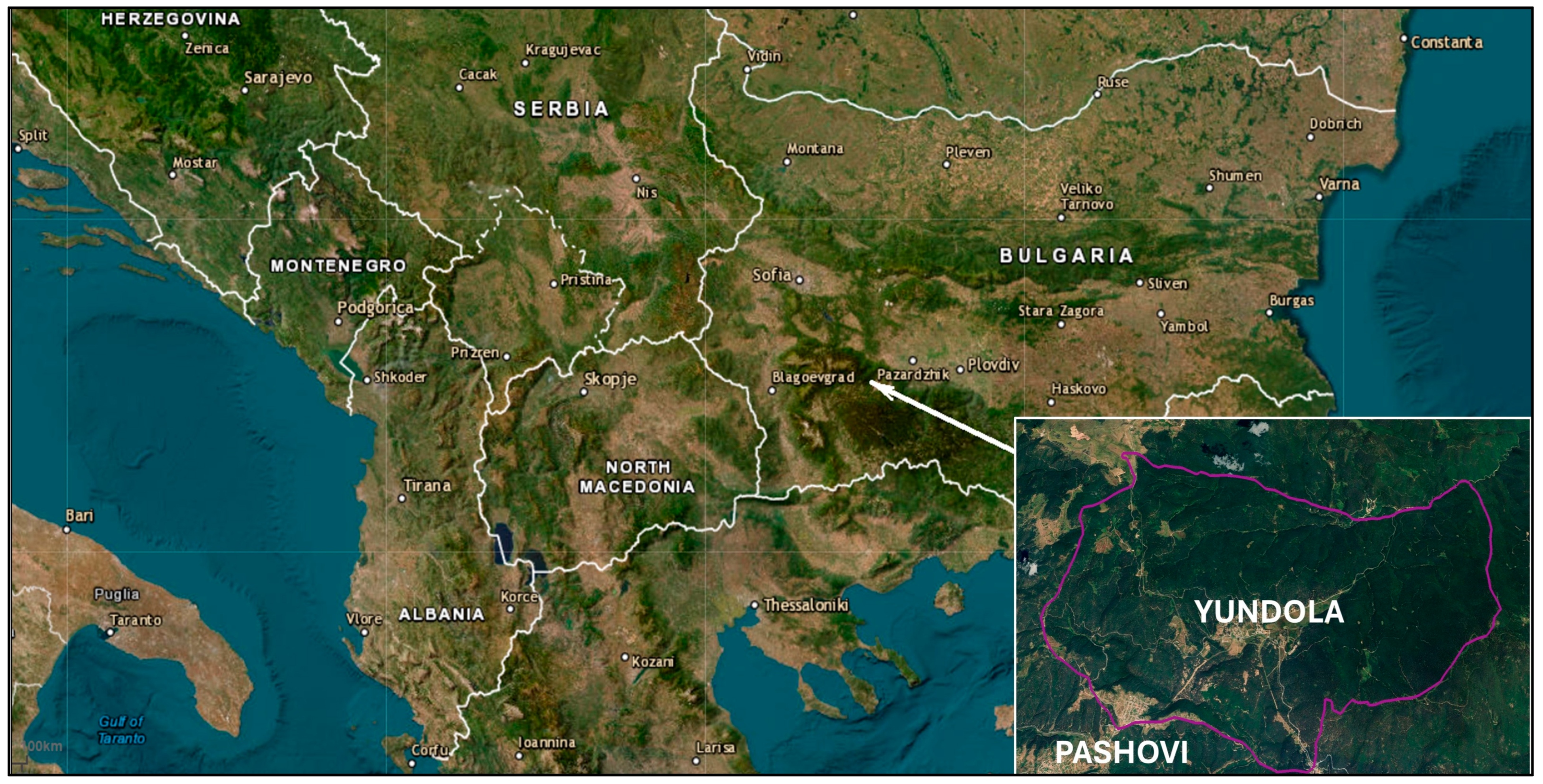 Forests 16 00781 g001