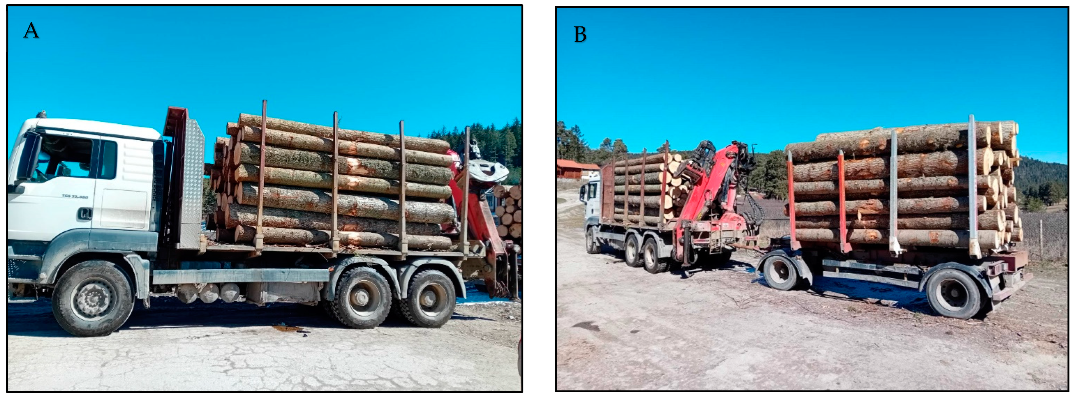 Forests 16 00781 g002