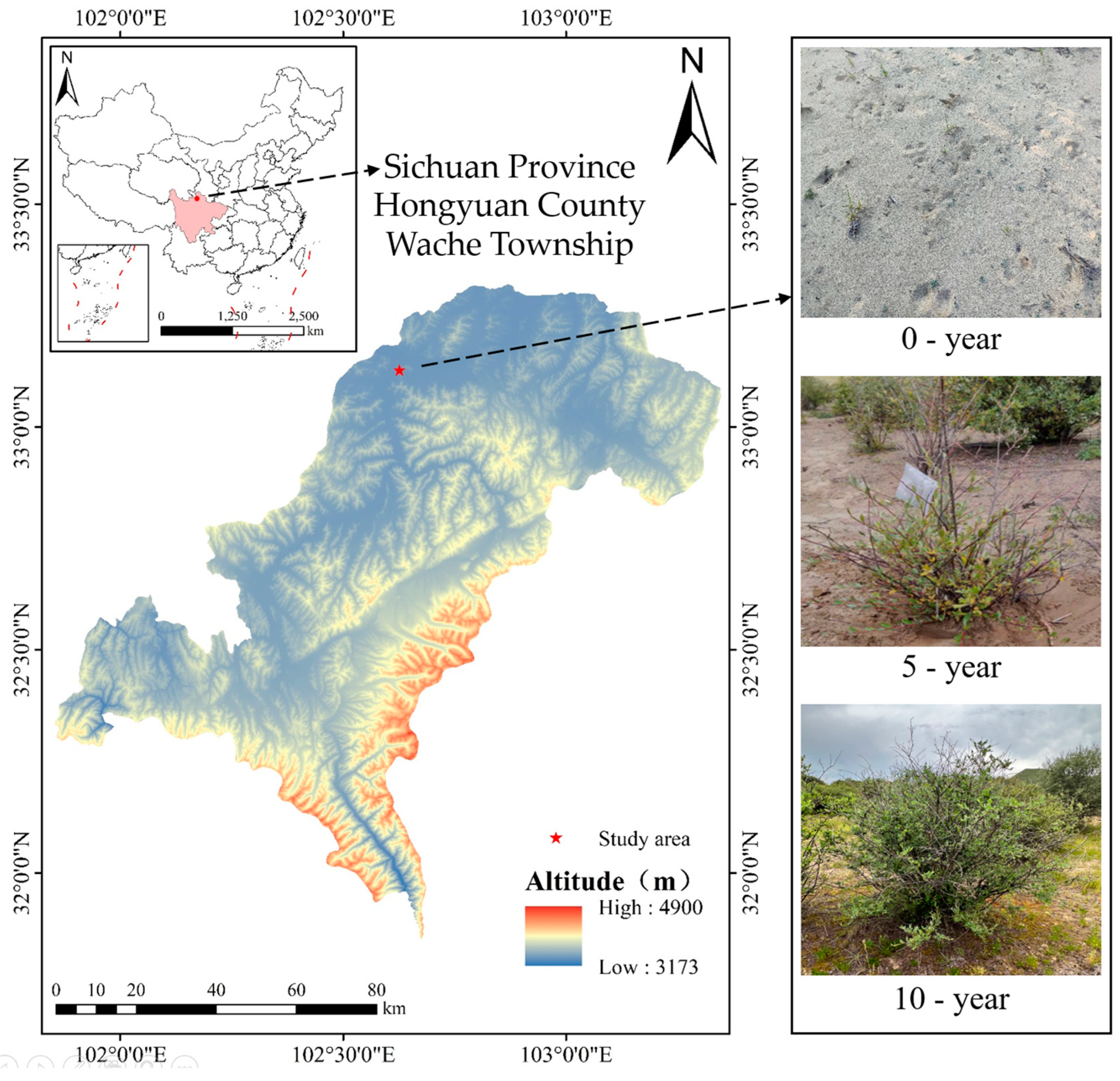 Effects of Afforestation on Soil Aggregate Stability, Carbon