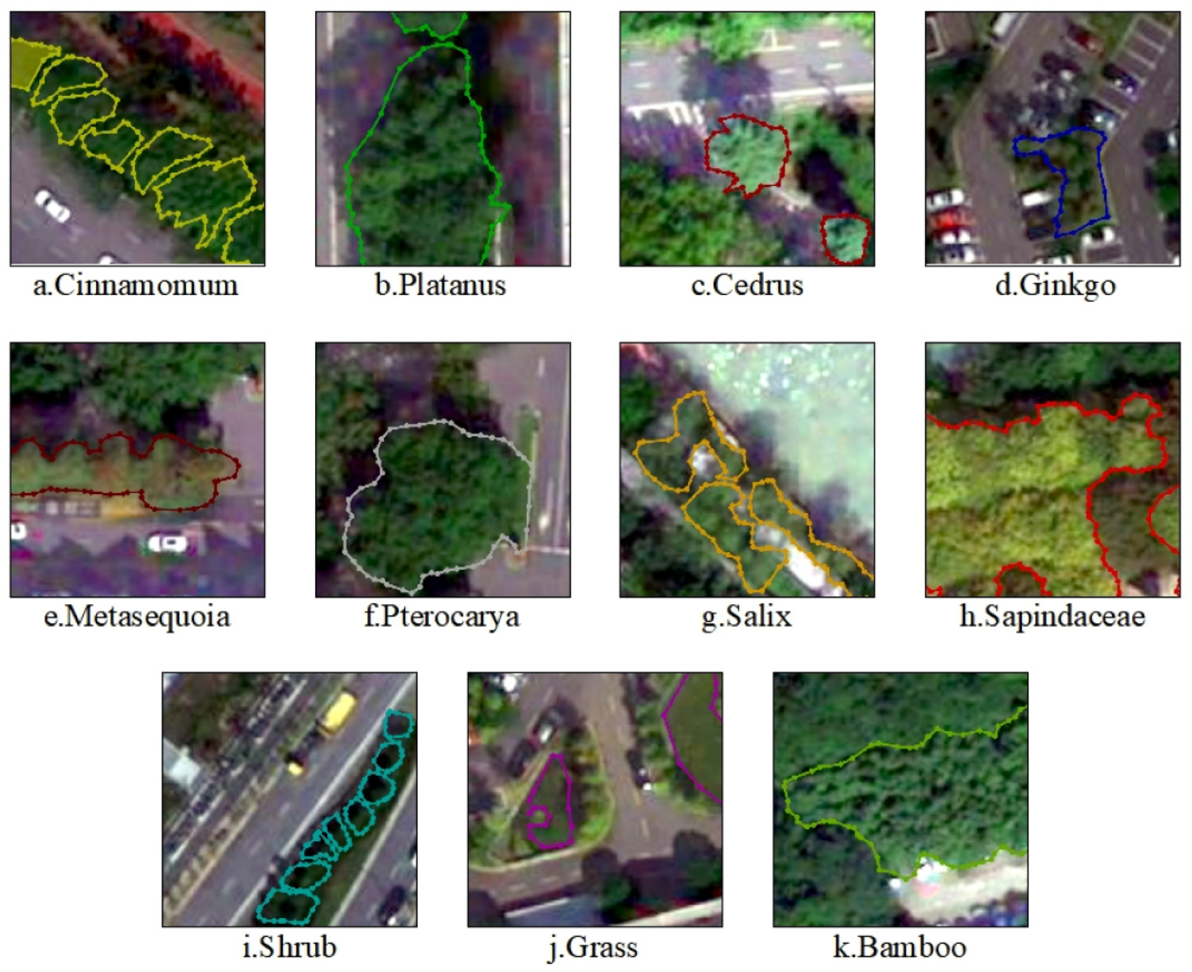 Forests 16 00783 g002