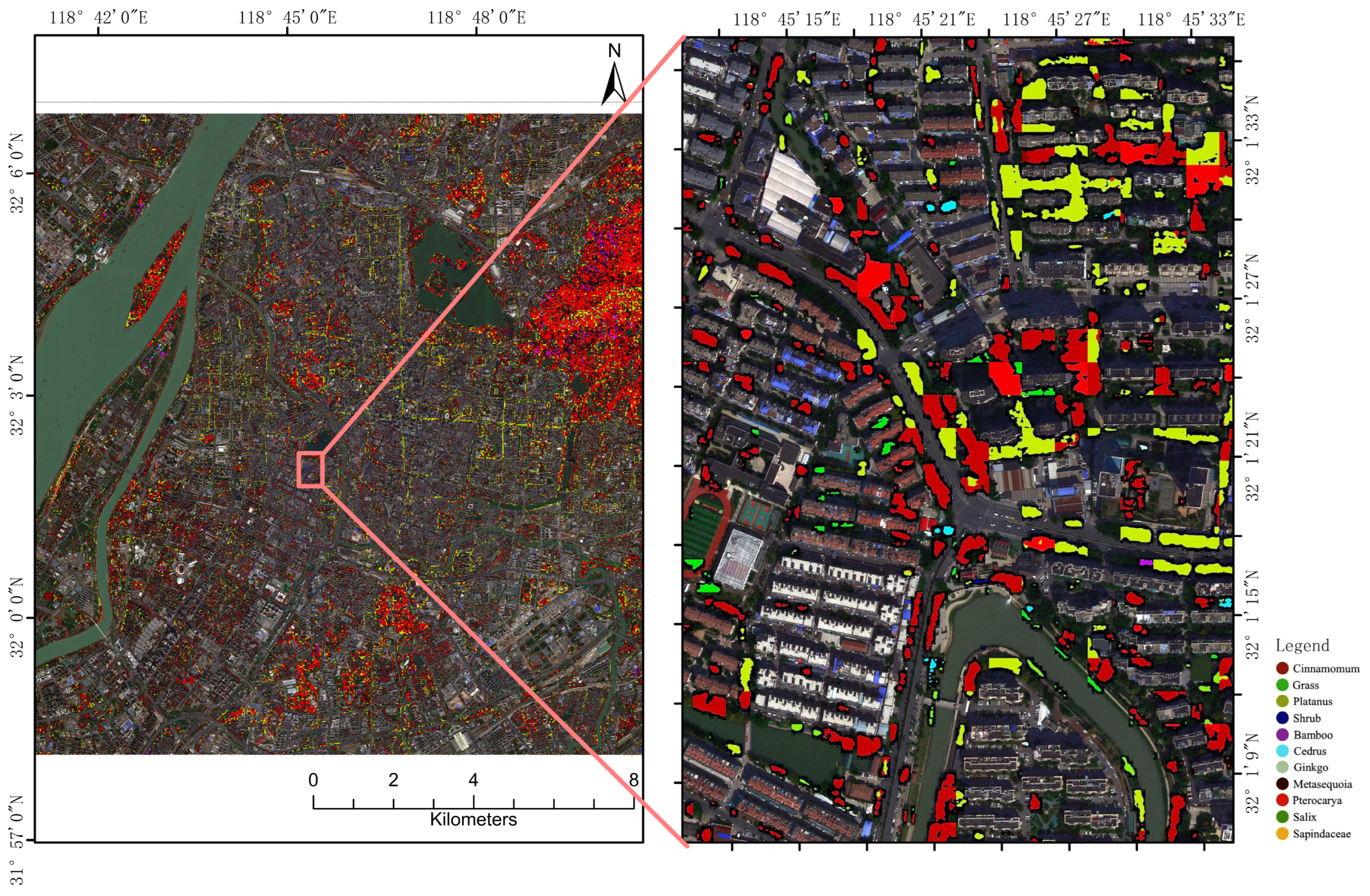 Forests 16 00783 g009