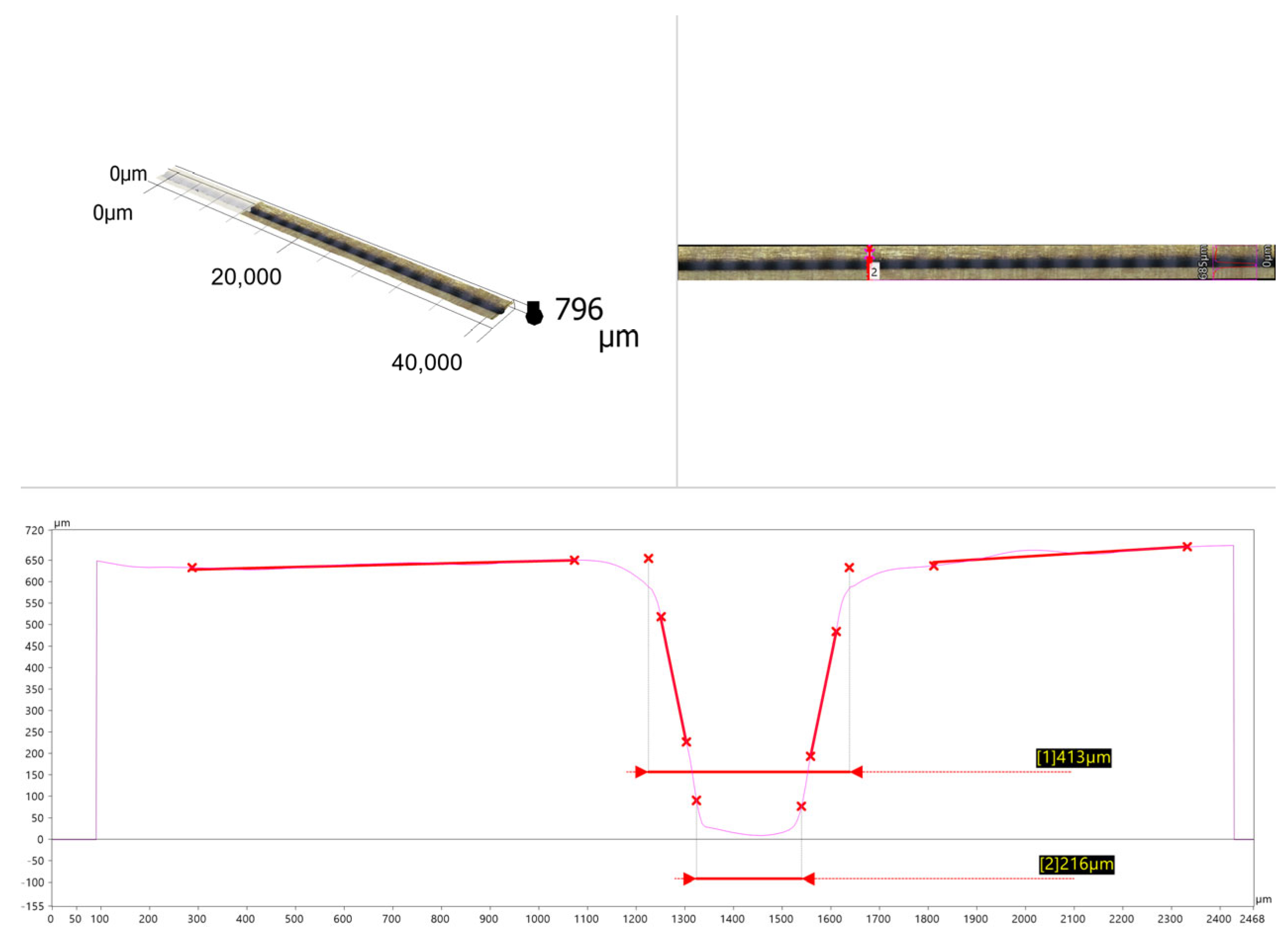 Forests 16 00785 g001