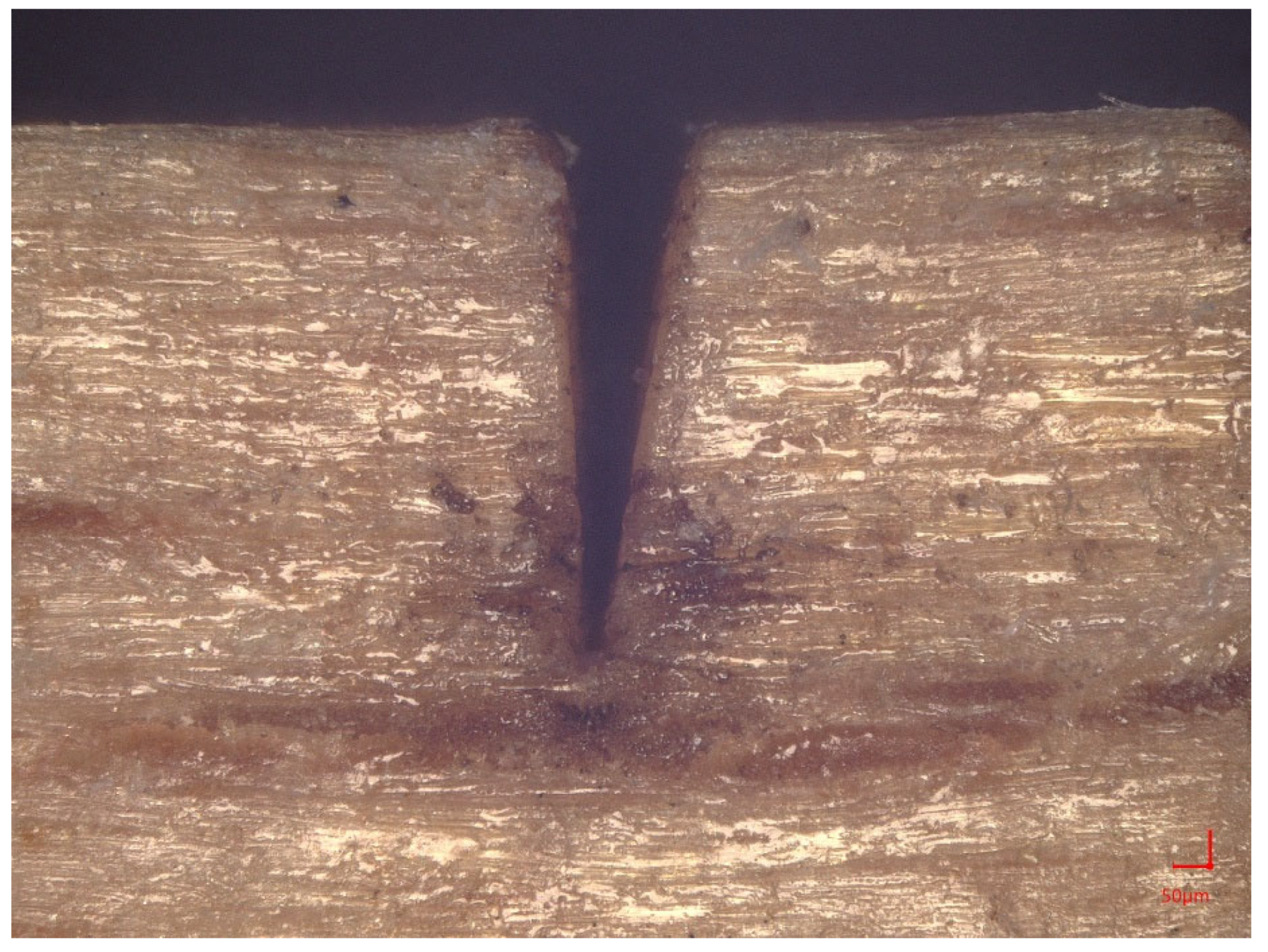 Forests 16 00785 g006