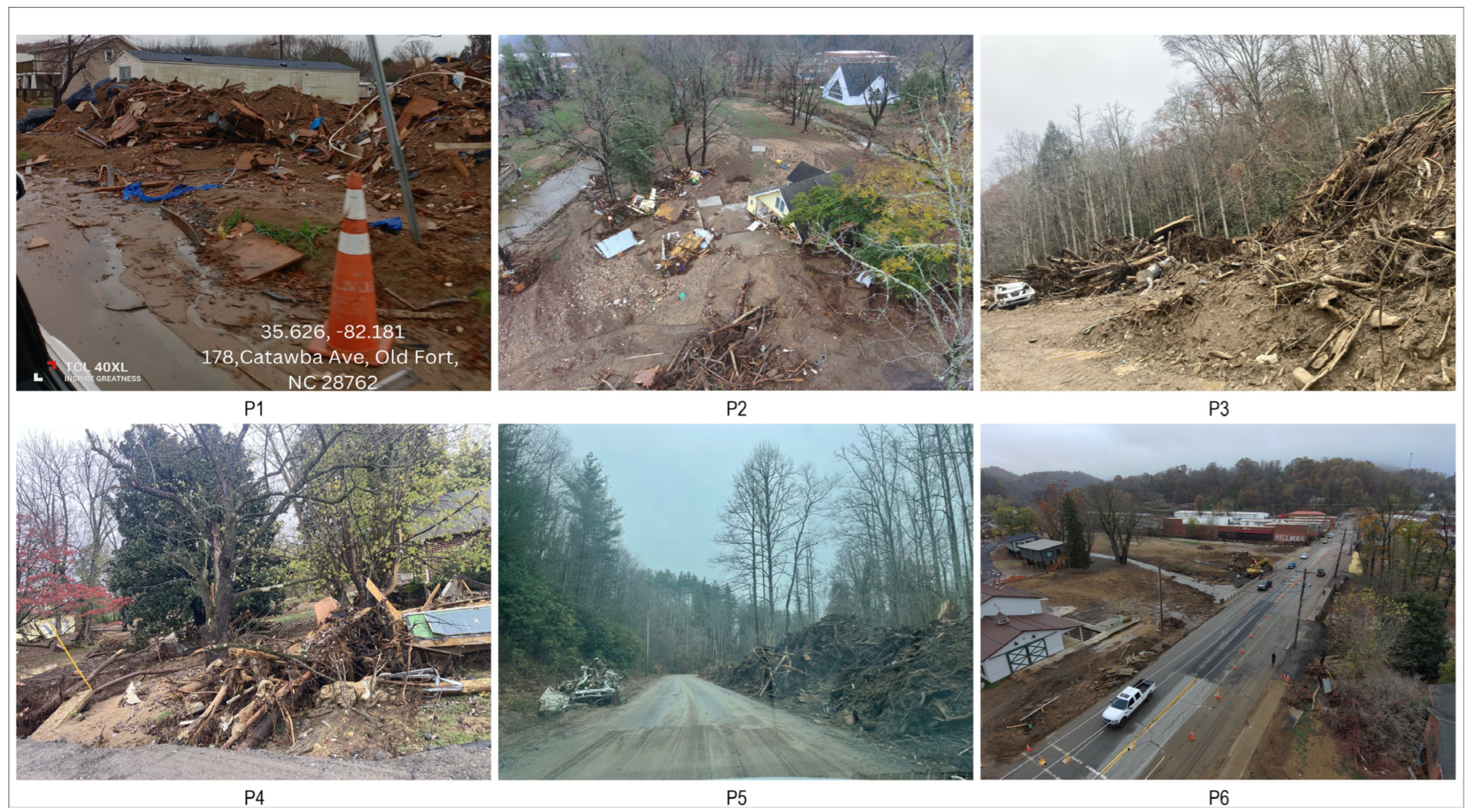 Forests 16 00788 g004