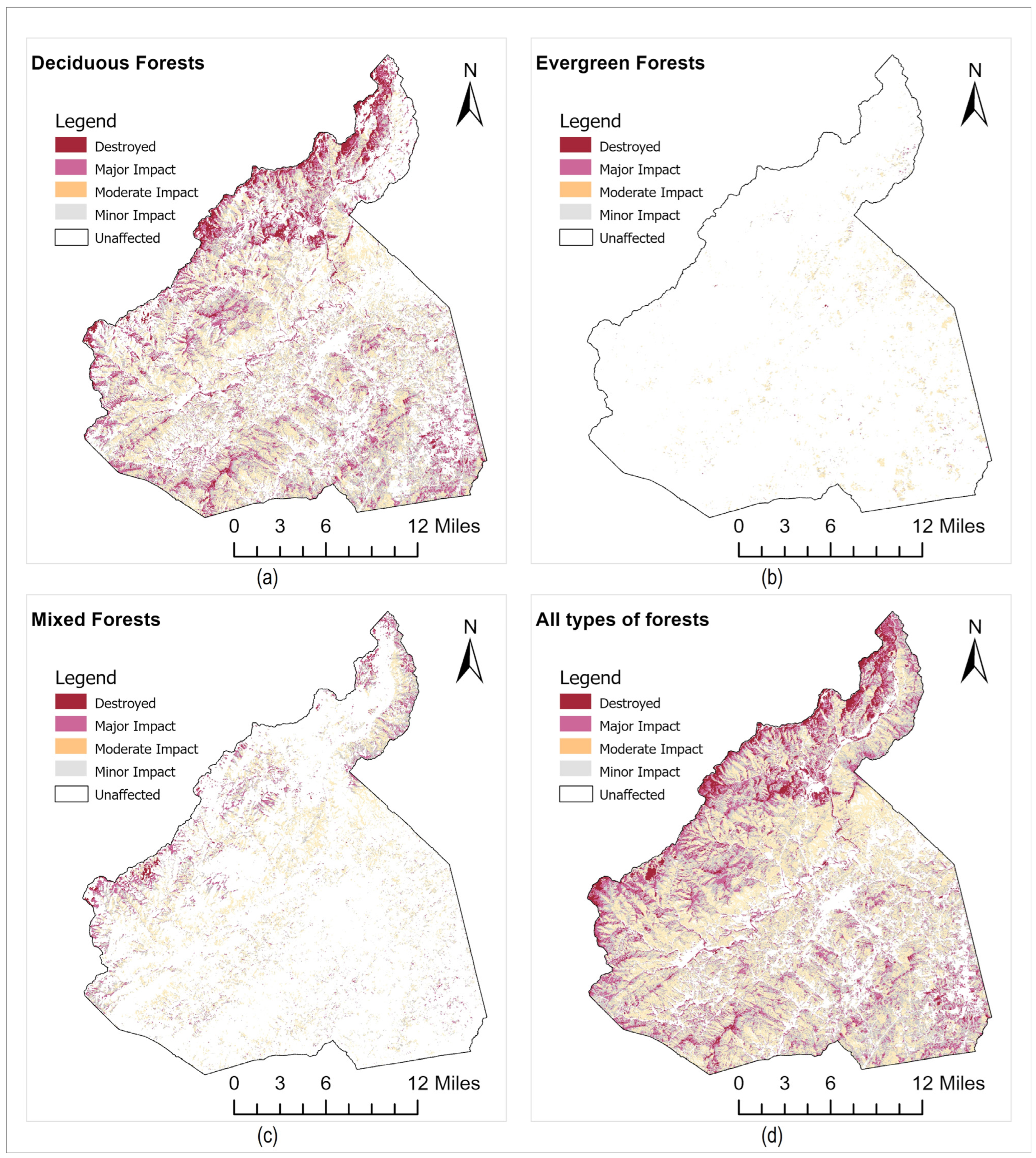 Forests 16 00788 g012