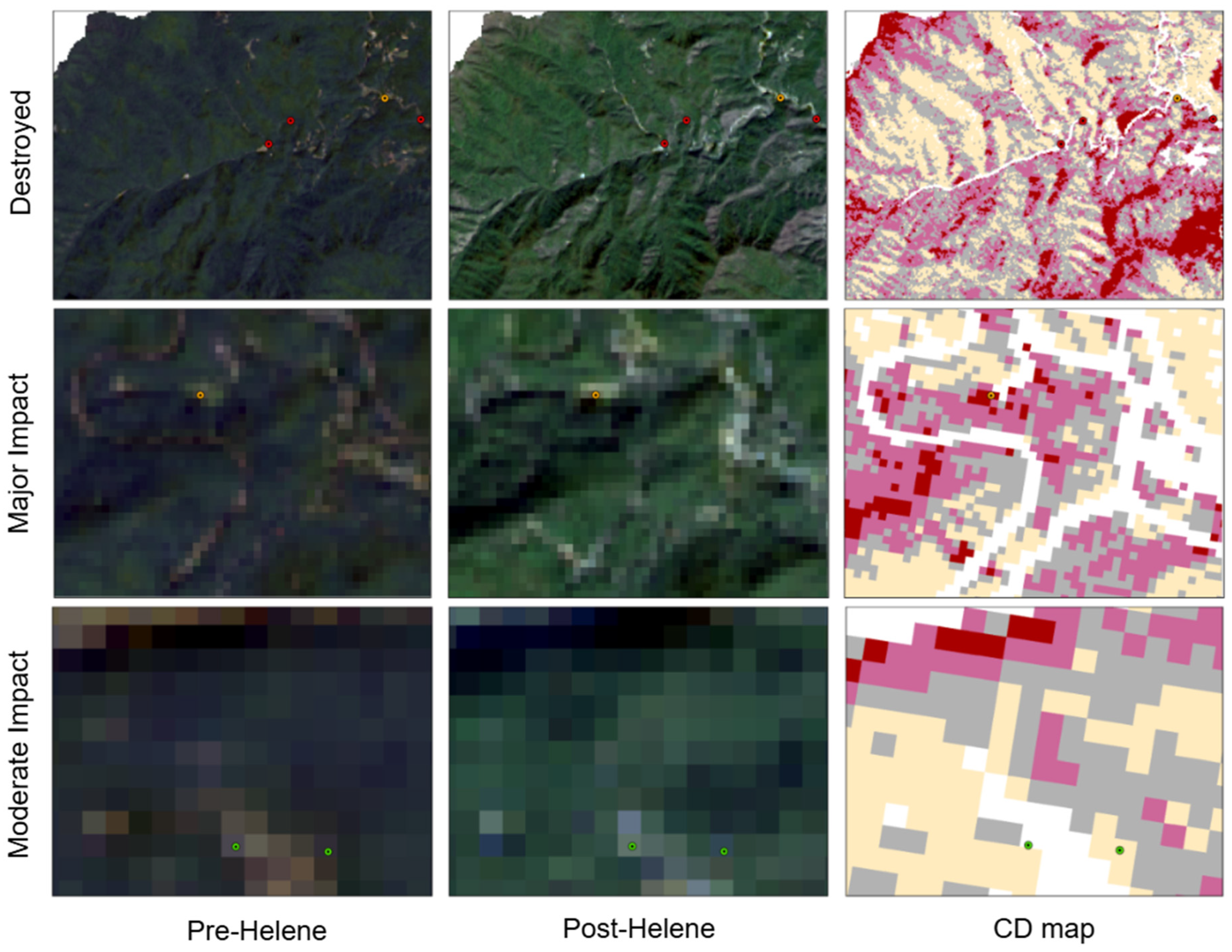 Forests 16 00788 g017