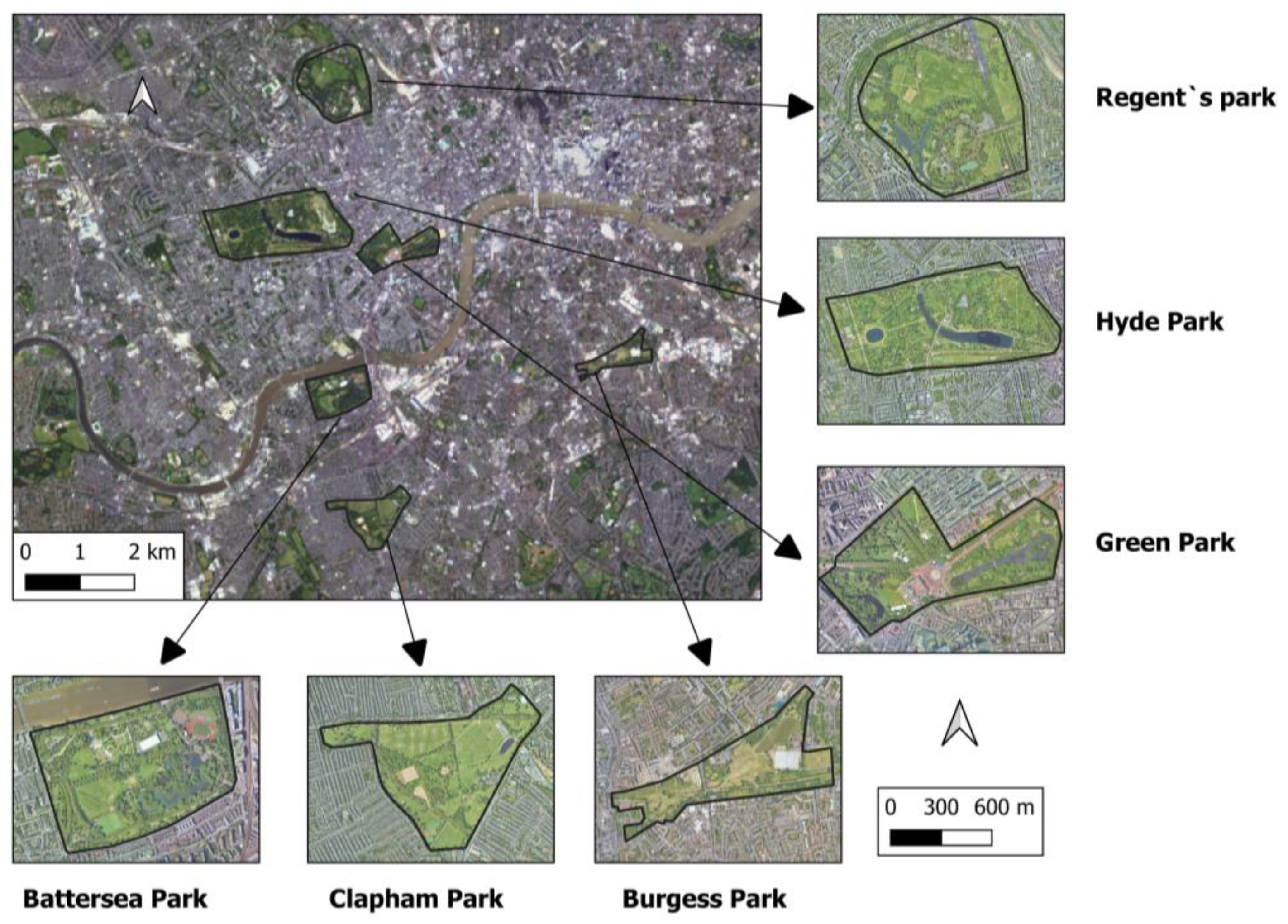 Forests 16 00790 g002