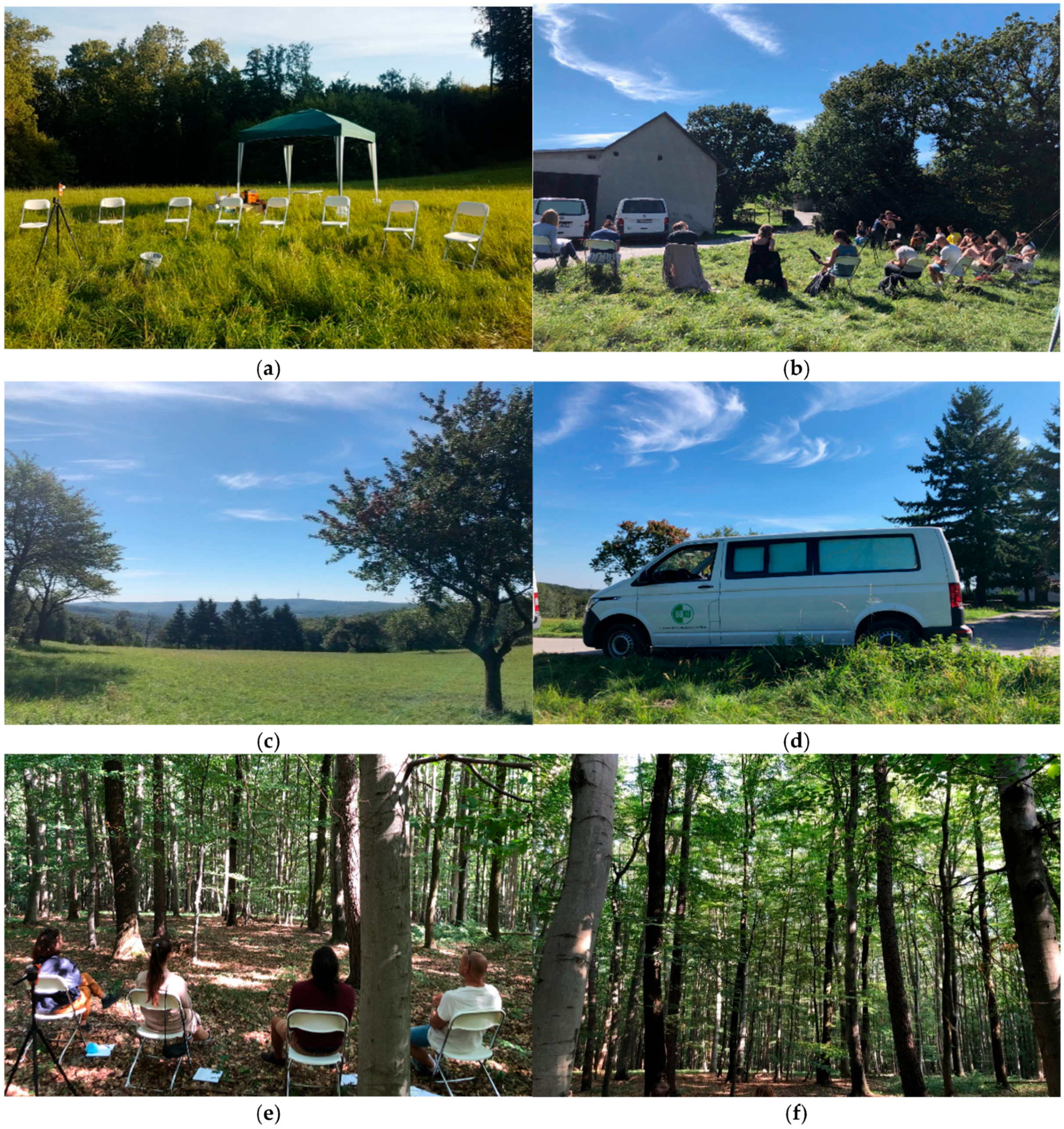 Forests 16 00792 g001