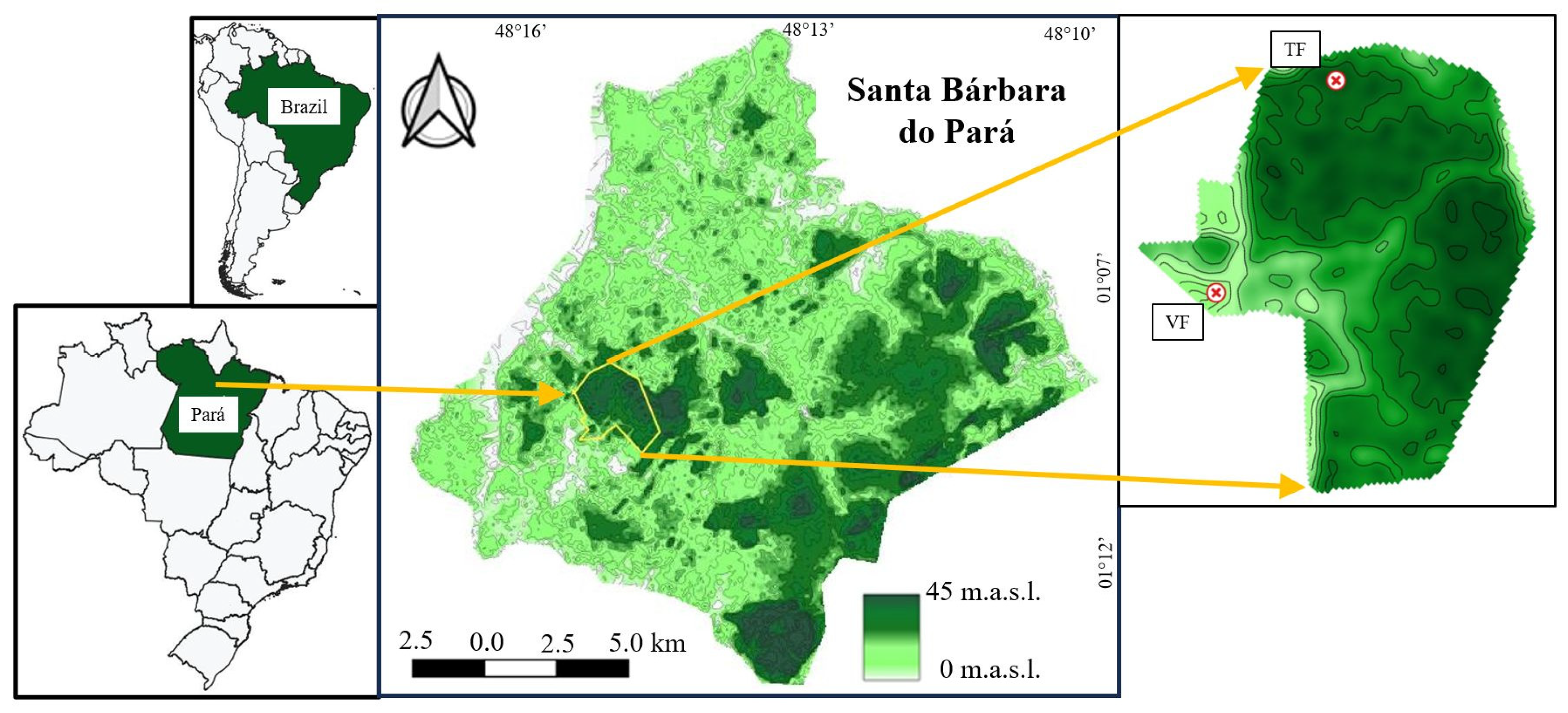 Forests 16 00793 g001 Forests 16 00793 g001