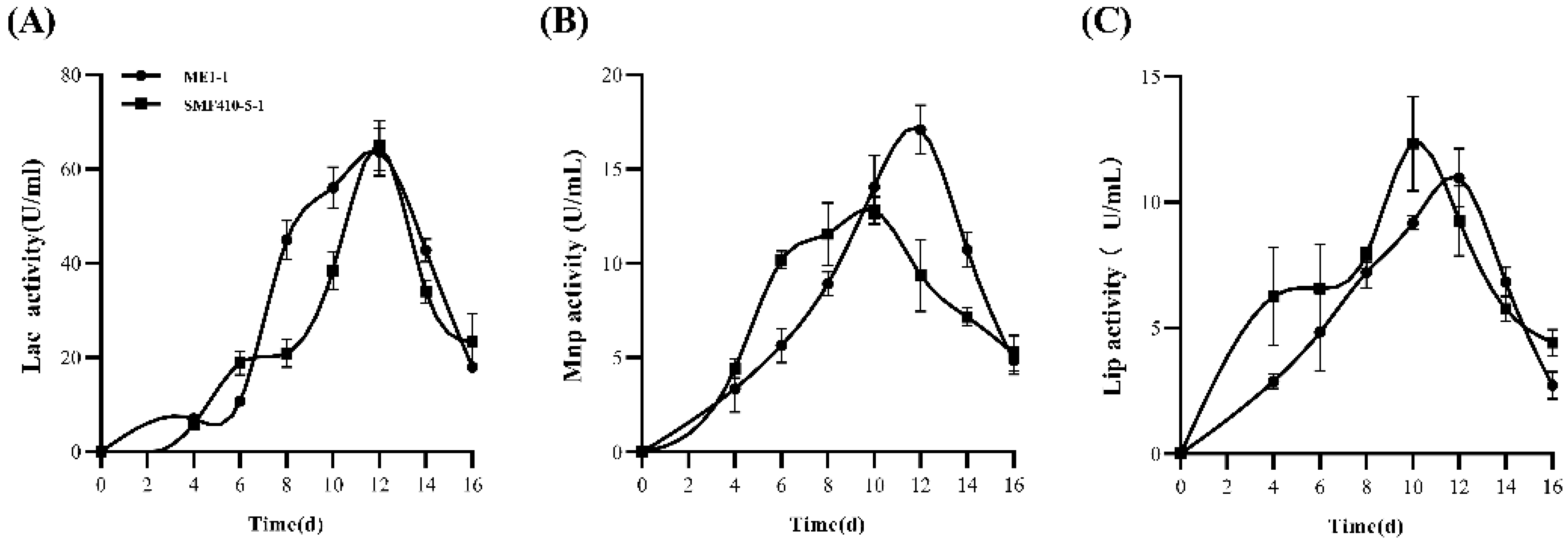 Forests 16 00795 g002