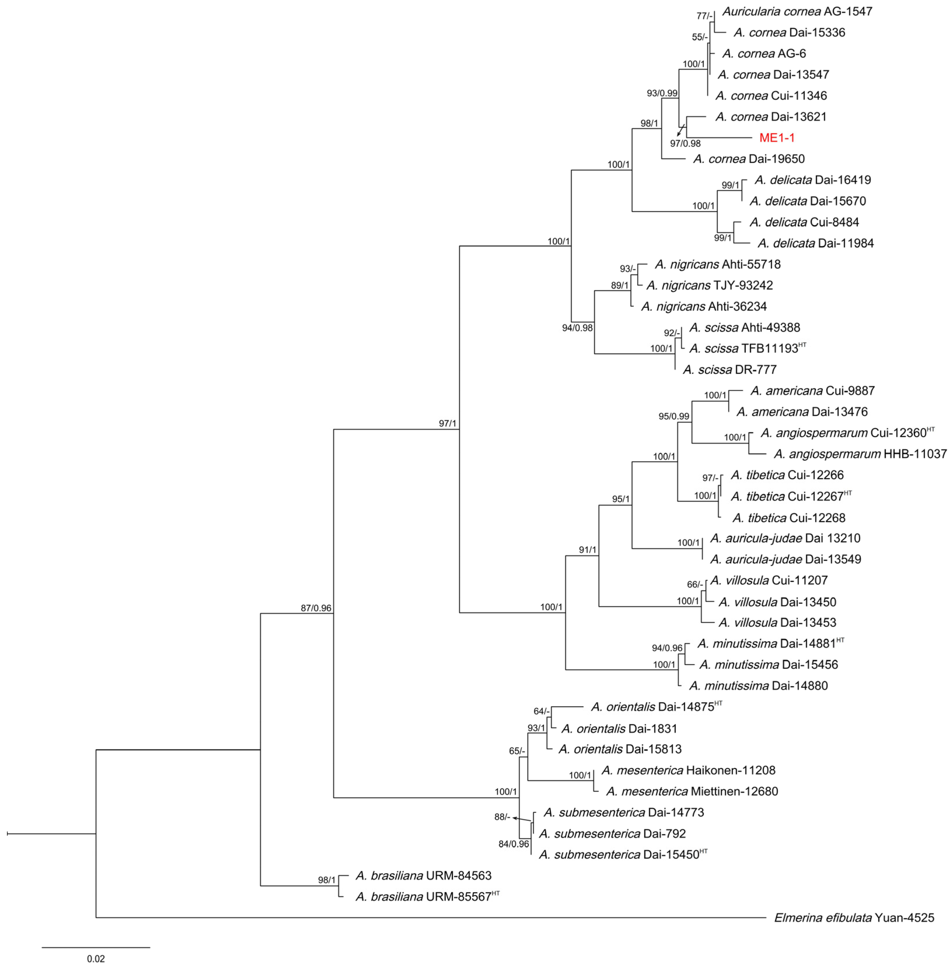 Forests 16 00795 g005