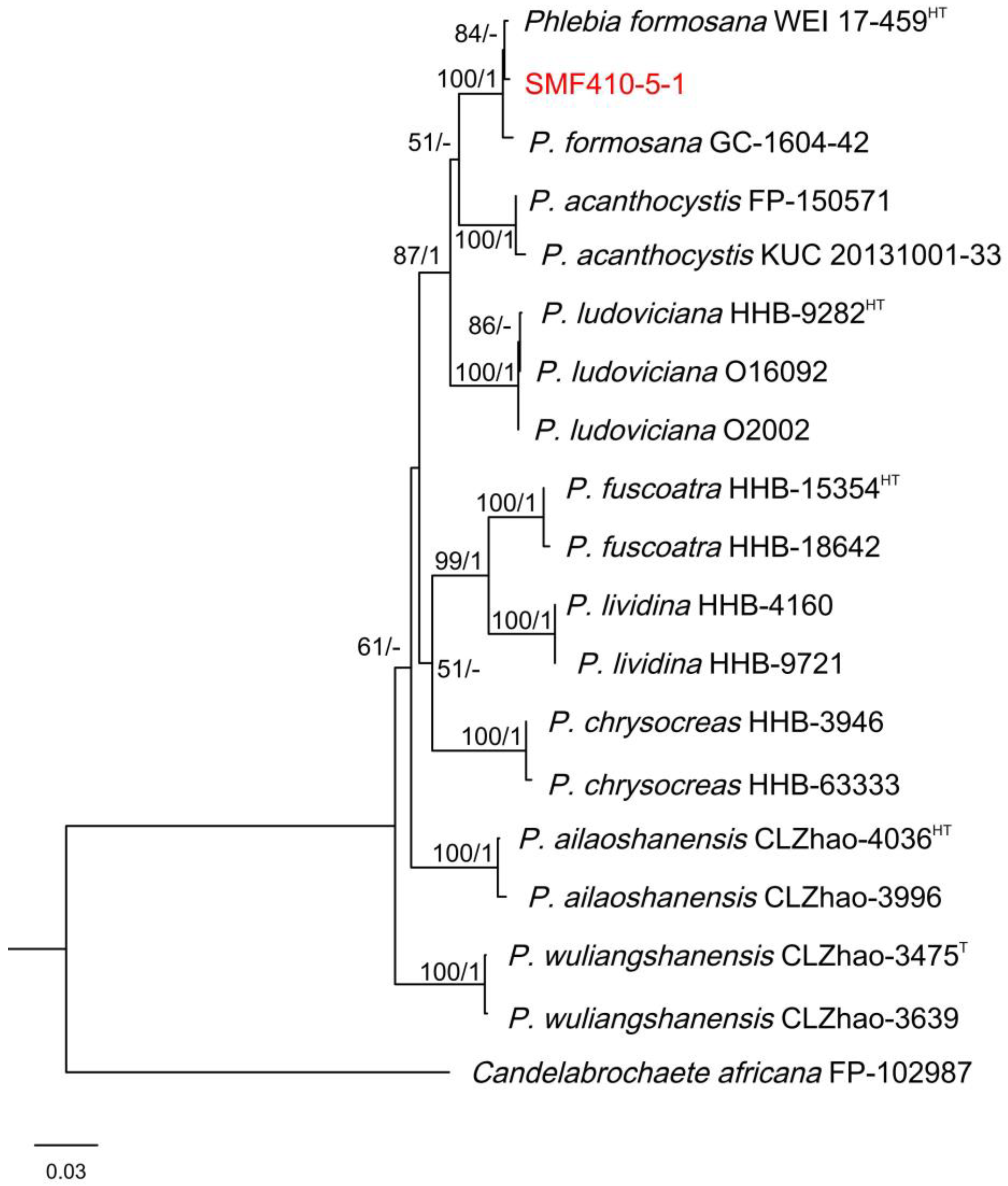 Forests 16 00795 g006
