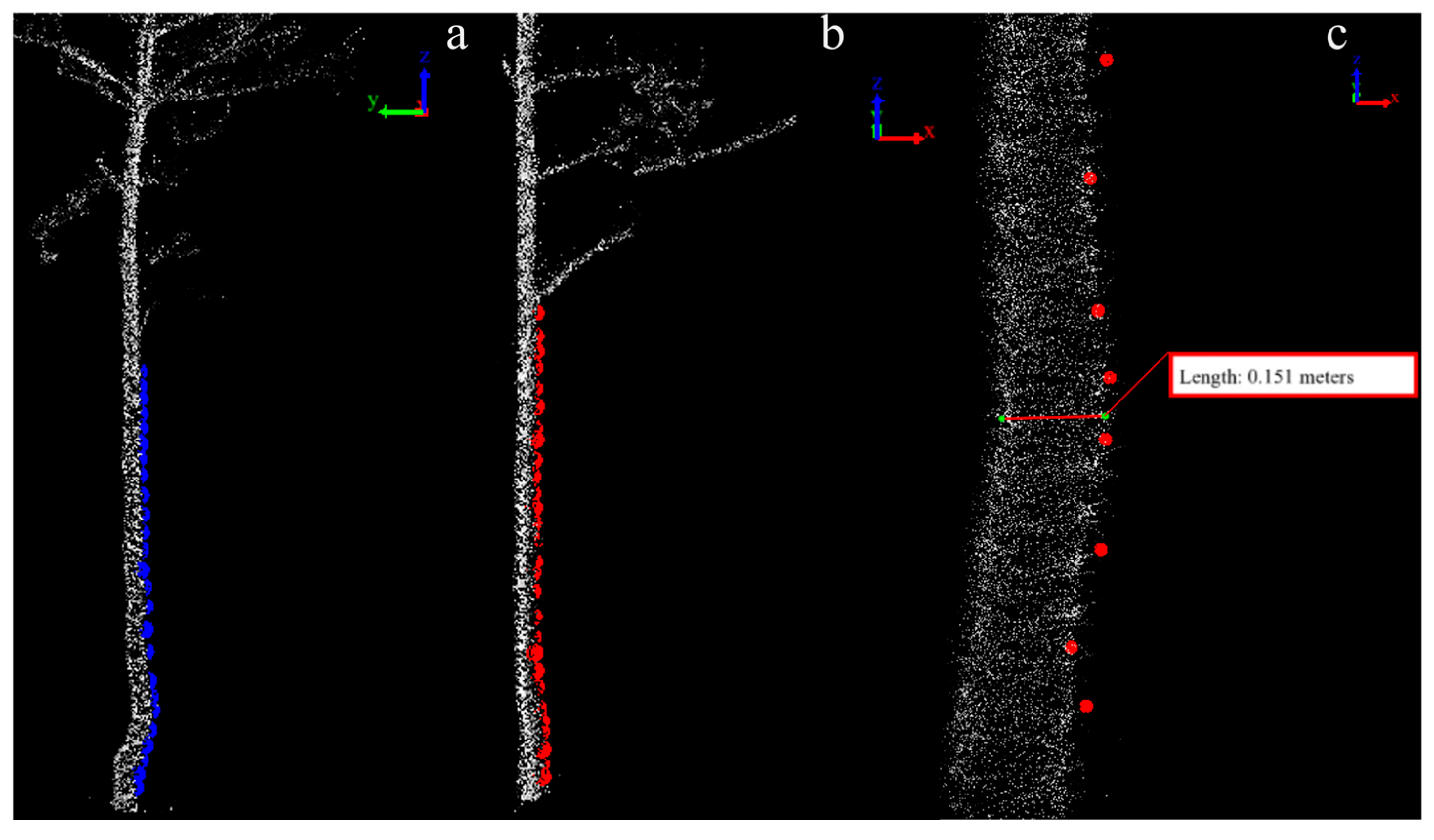Forests 16 00797 g002