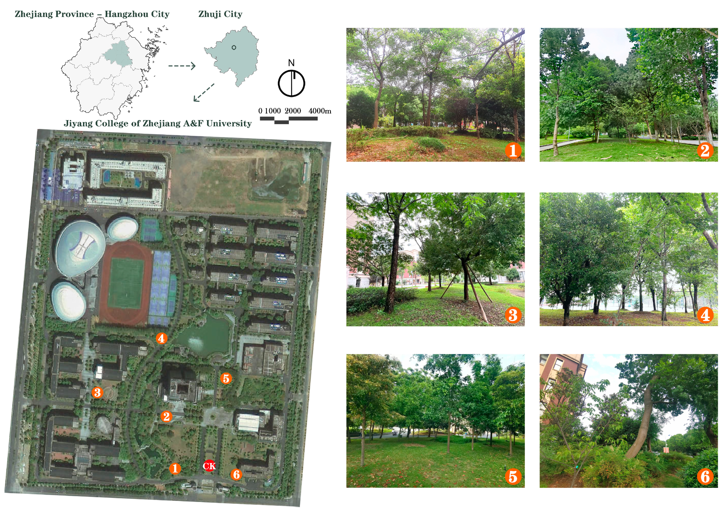 Forests 16 00799 g001