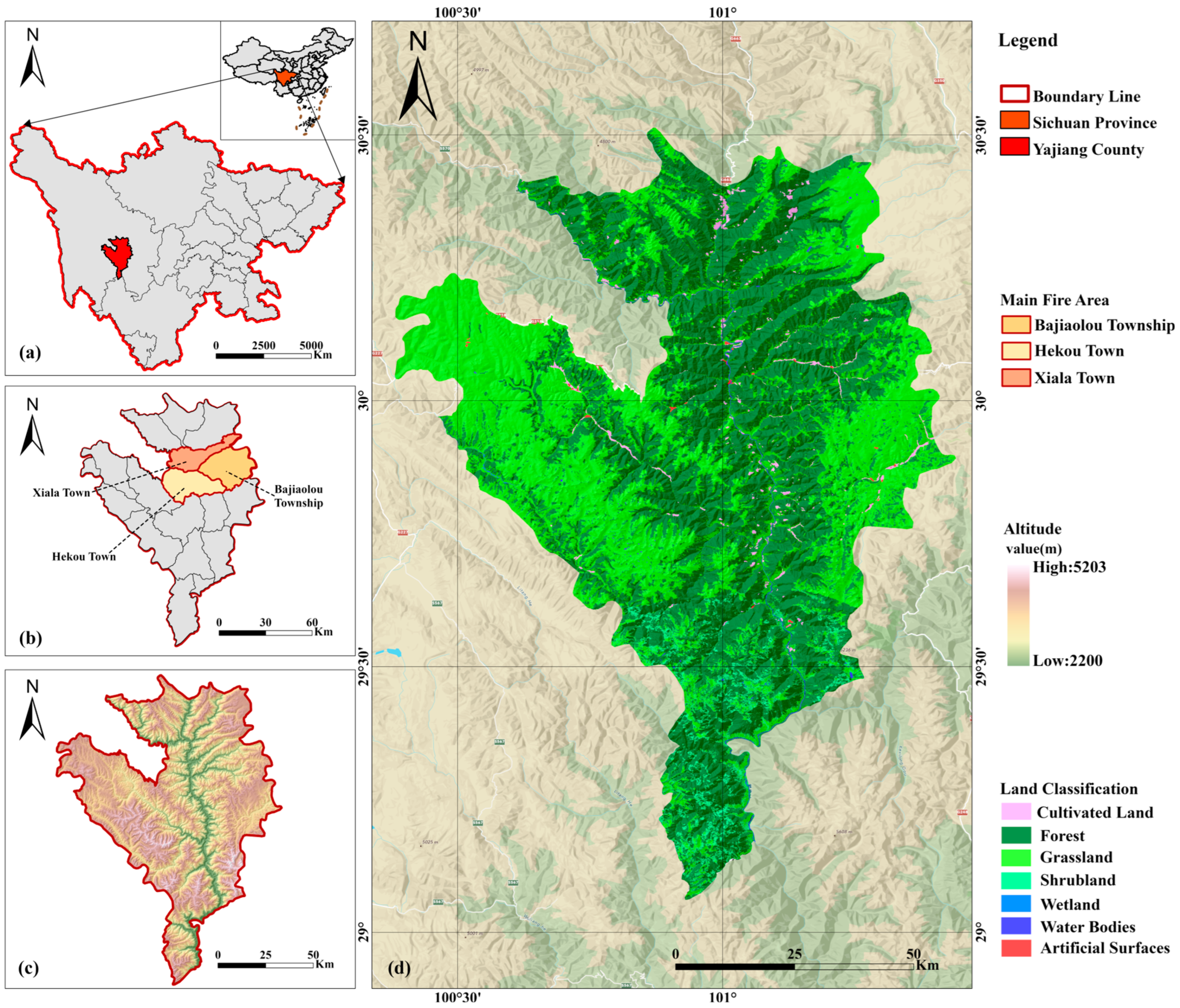 Forests 16 00803 g001
