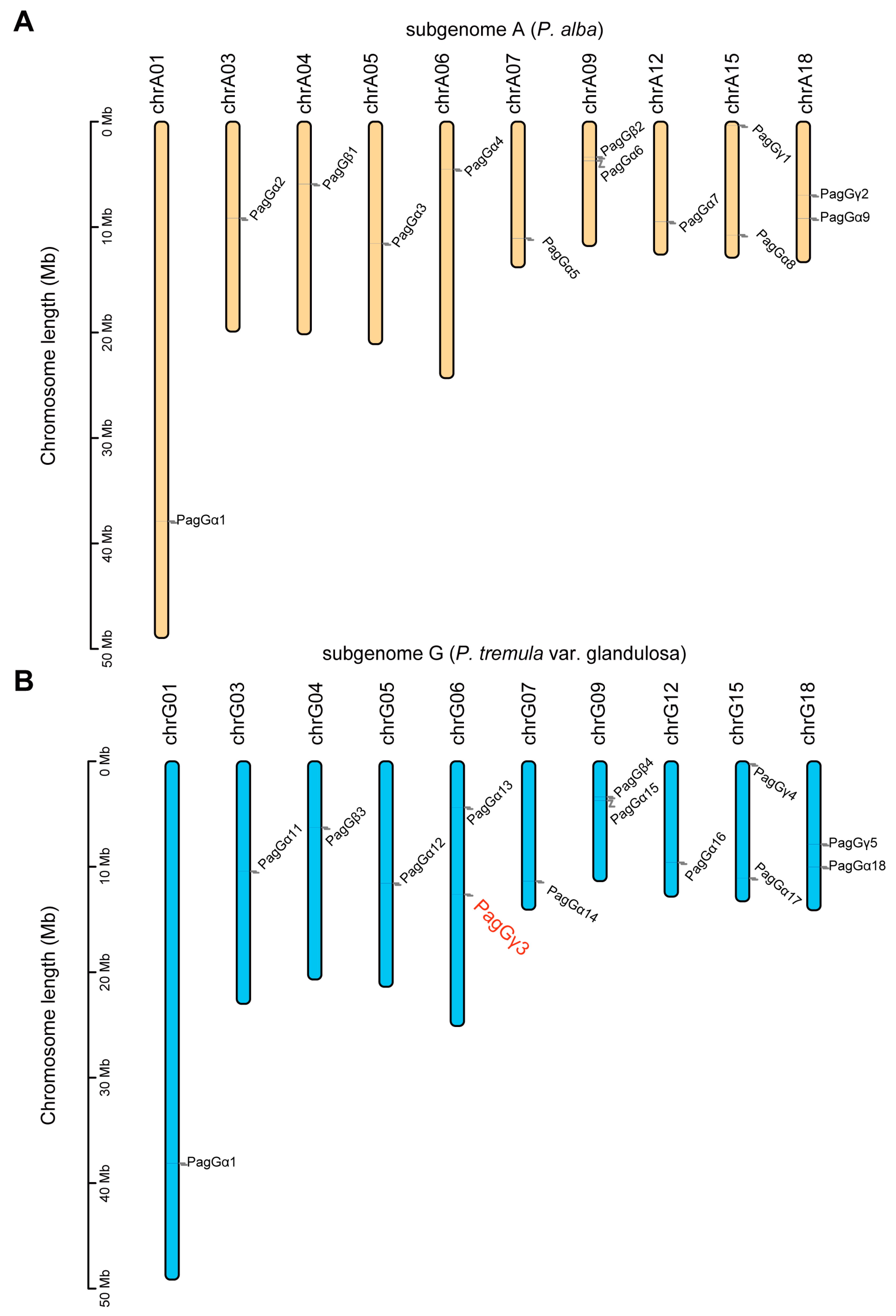 Forests 16 00805 g001