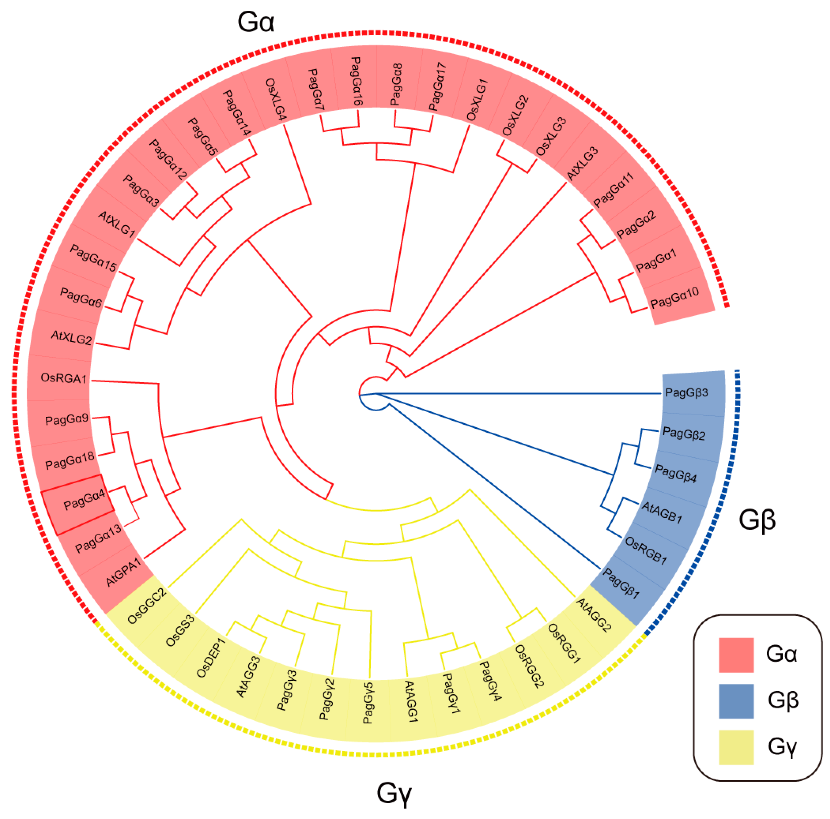 Forests 16 00805 g002