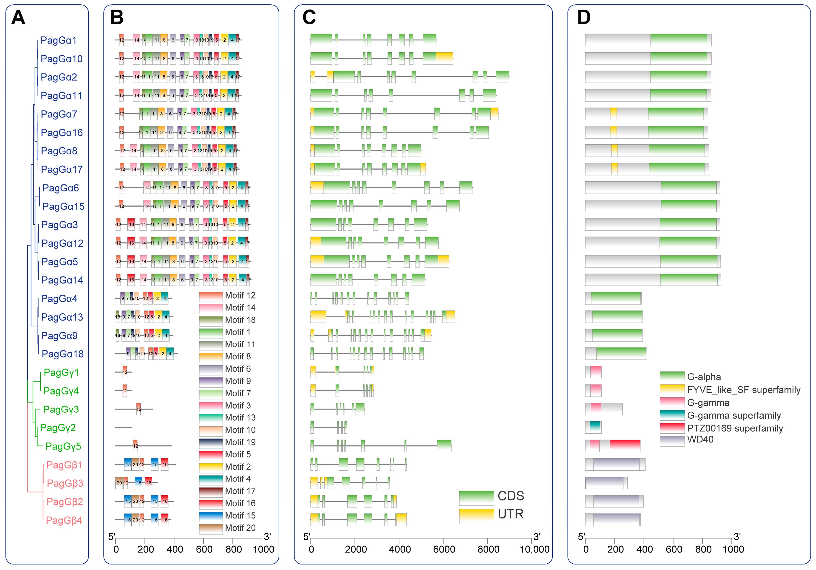 Forests 16 00805 g003
