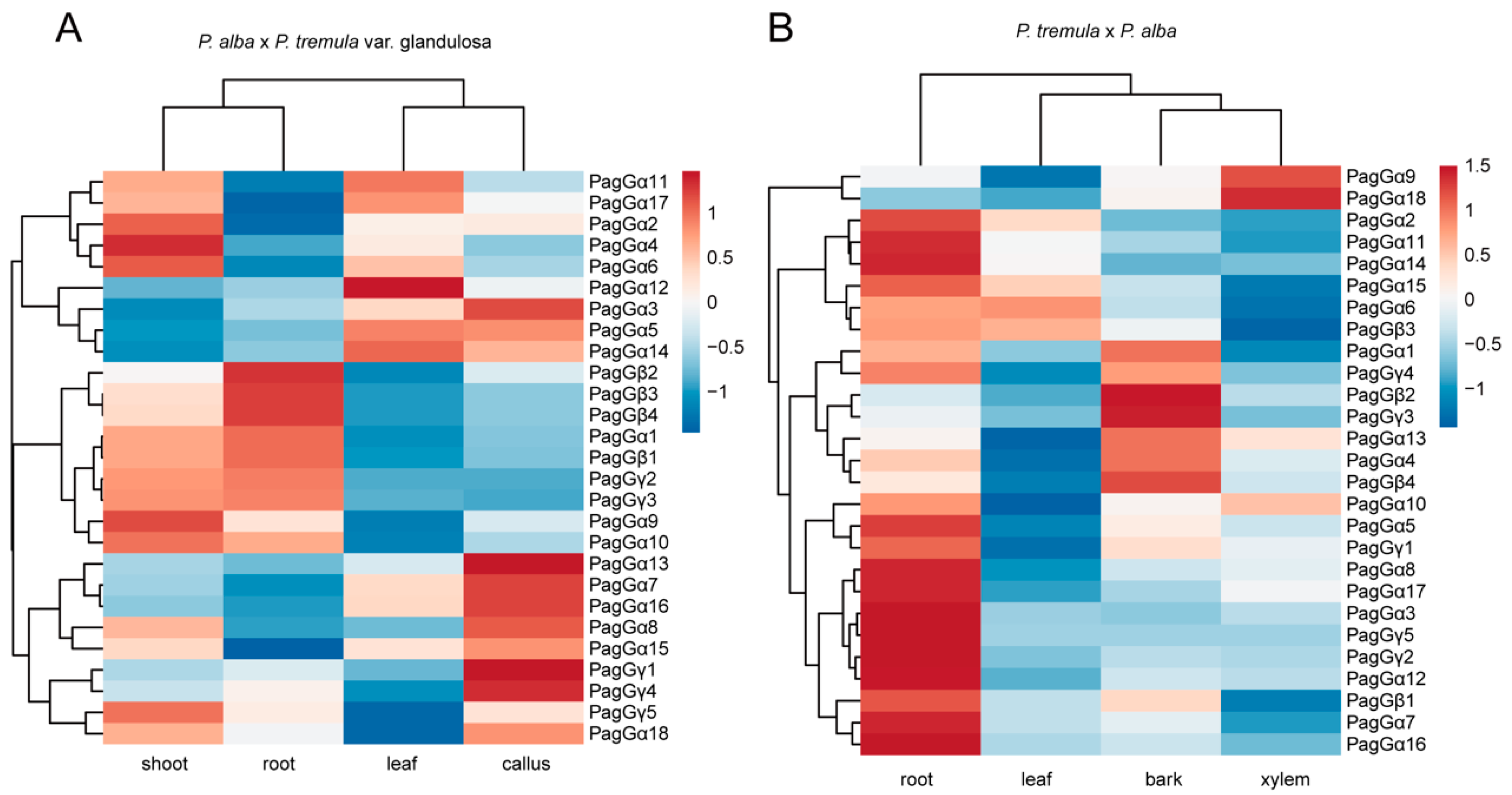 Forests 16 00805 g006