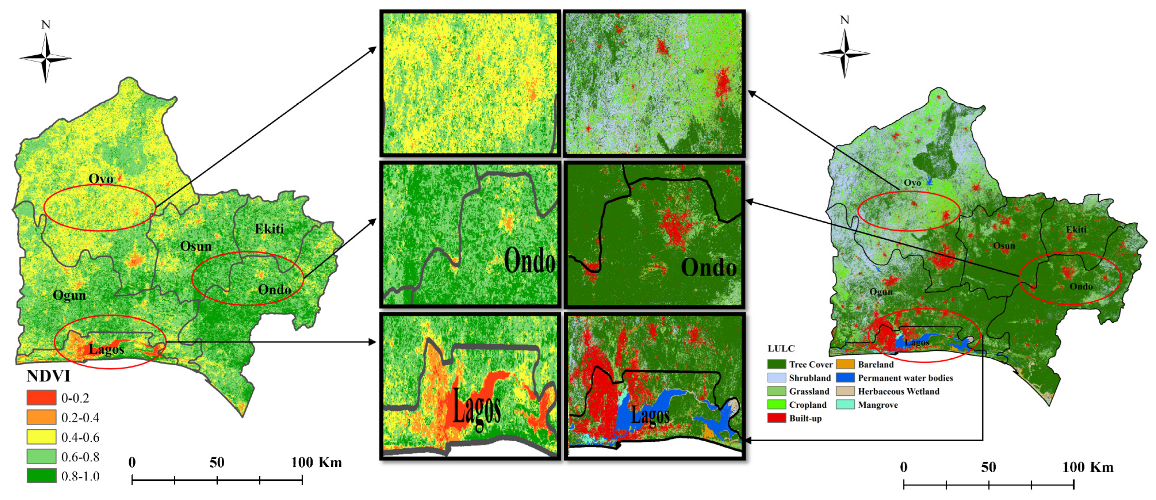Forests 16 00811 g008