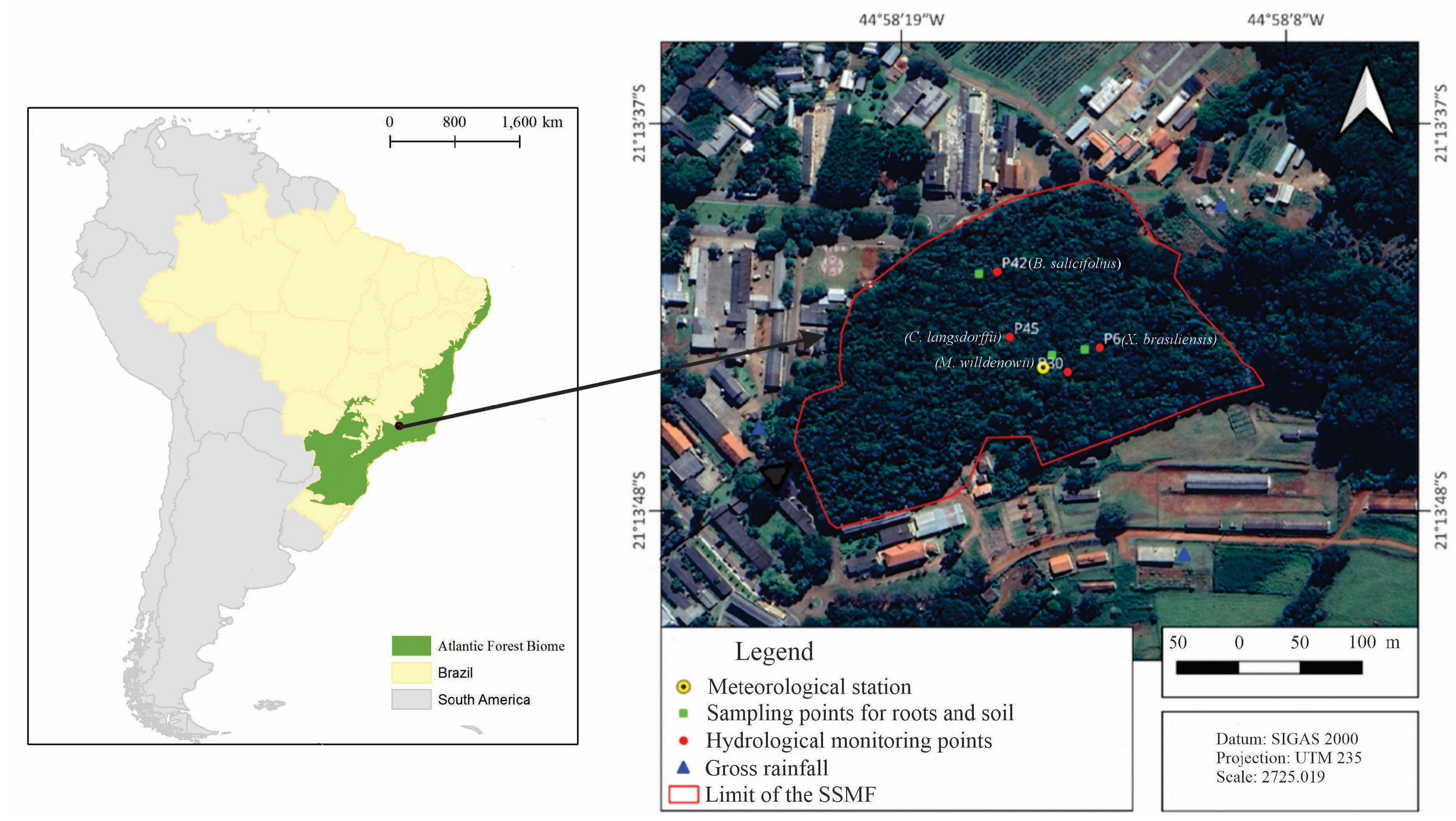 Forests 16 00812 g001 Forests 16 00812 g001