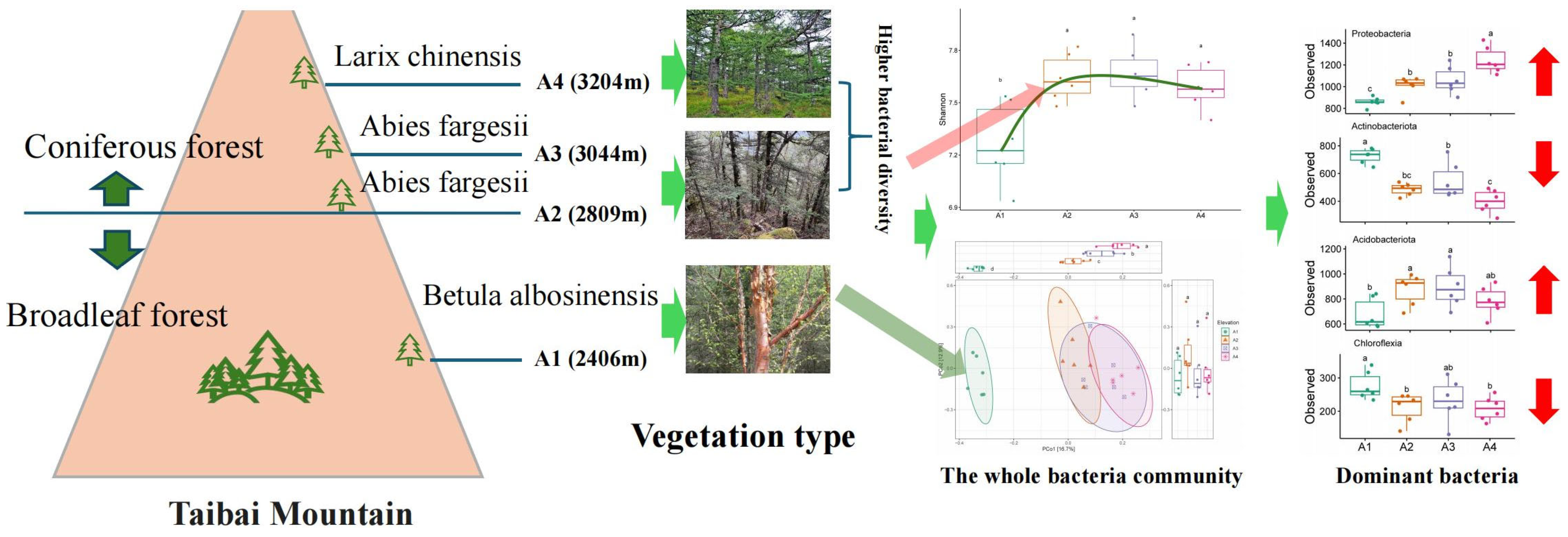 Forests 16 00814 g010
