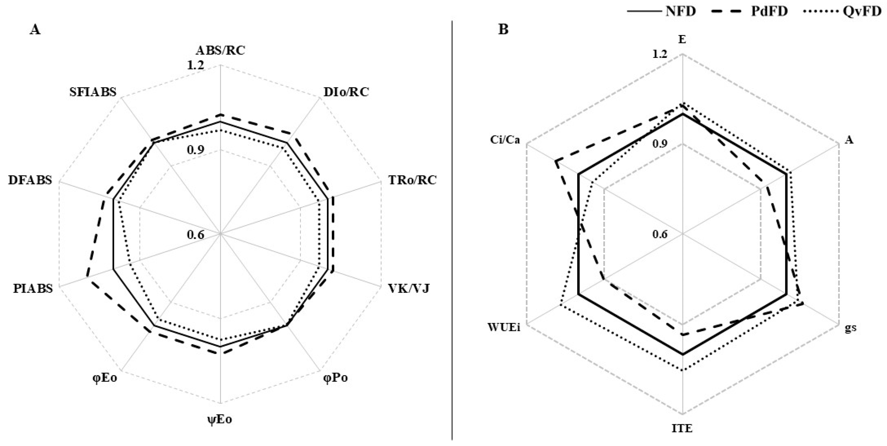 Forests 16 00817 g008