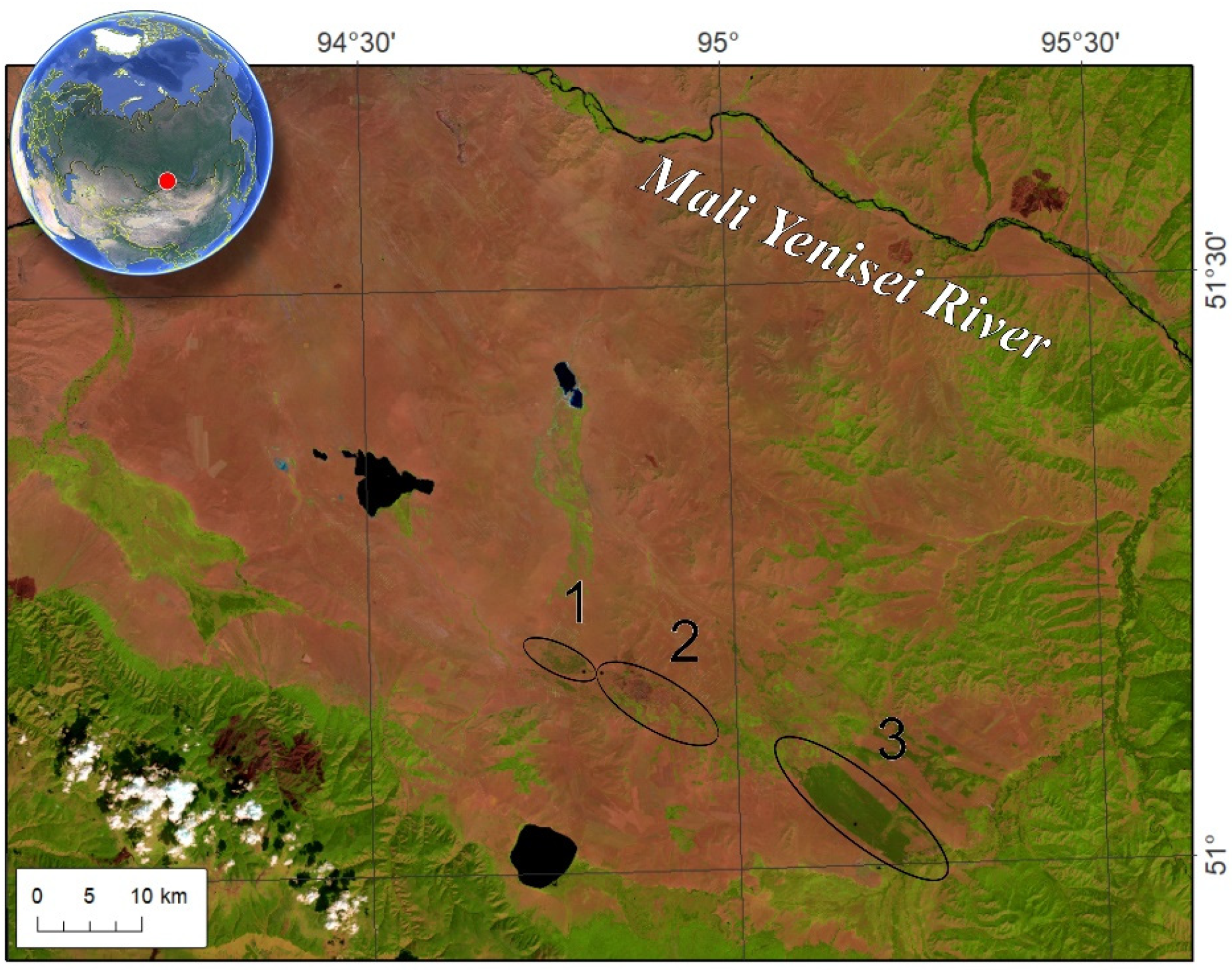 Forests 16 00819 g001