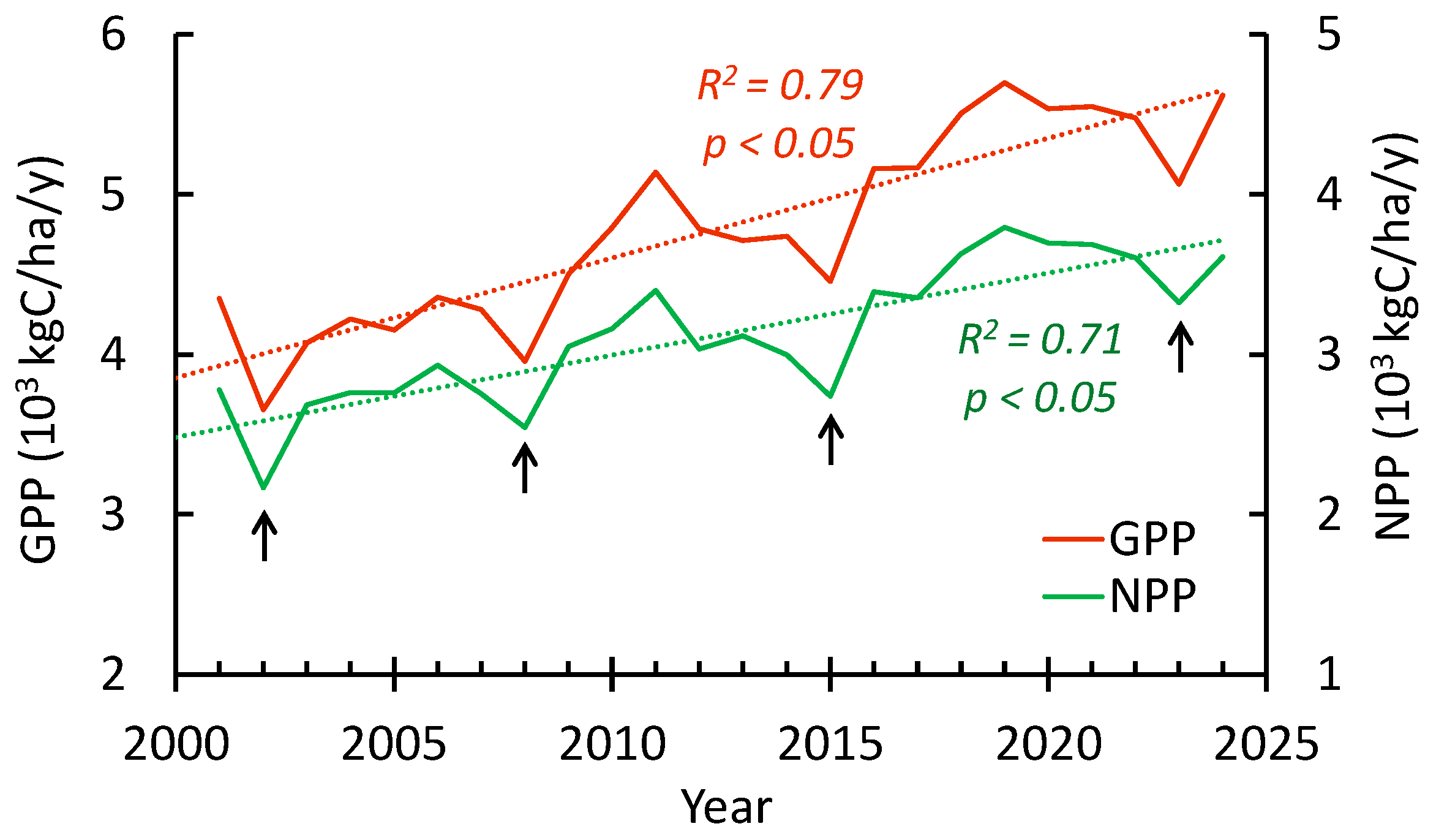 Forests 16 00819 g008