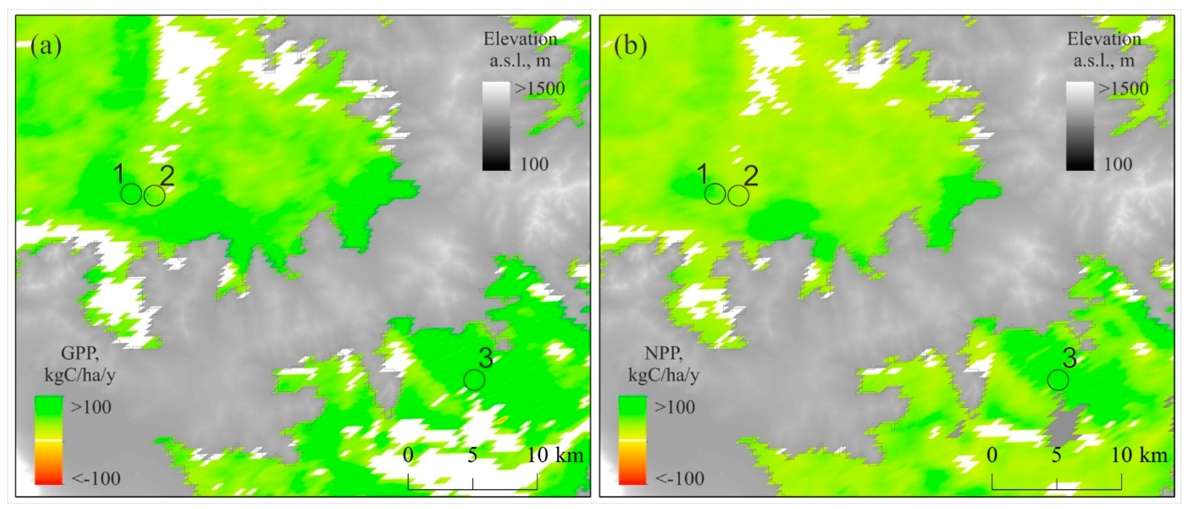 Forests 16 00819 g009