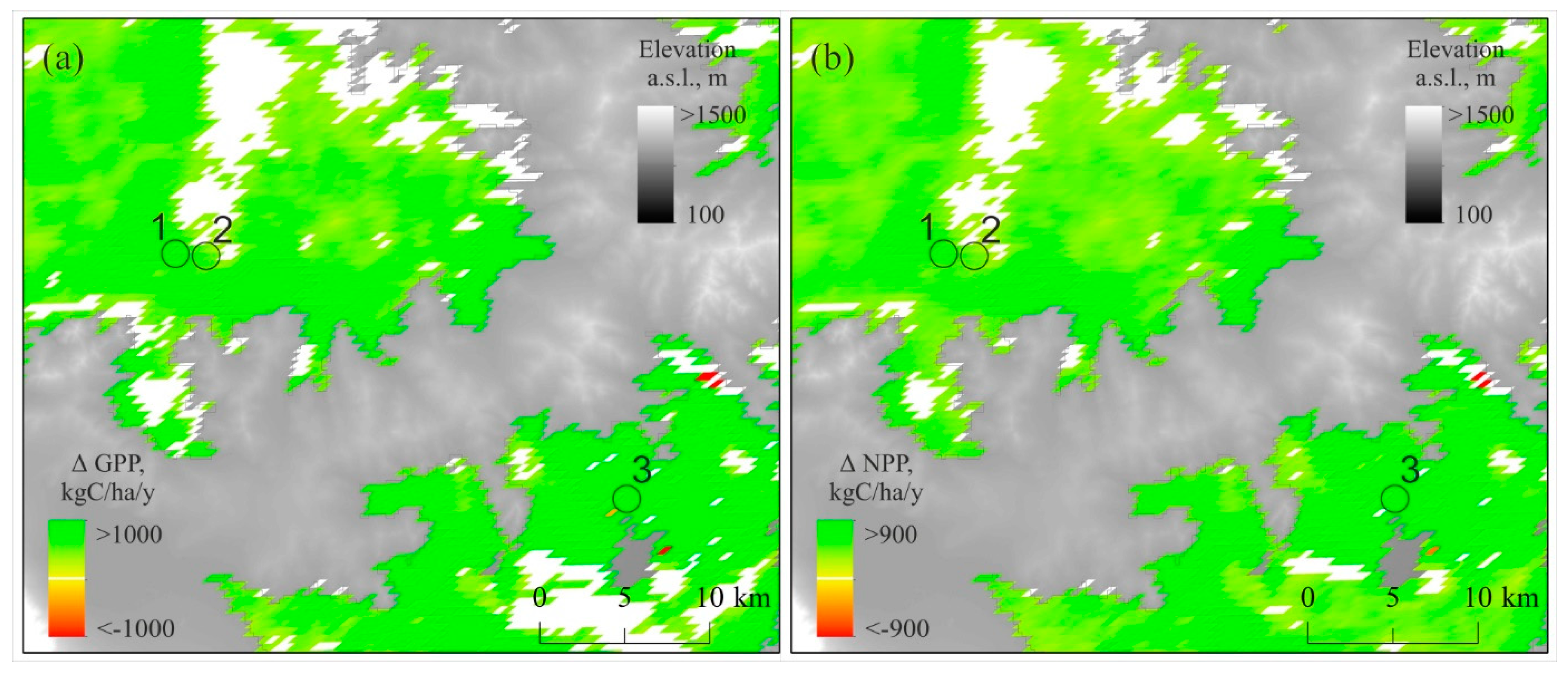 Forests 16 00819 g010